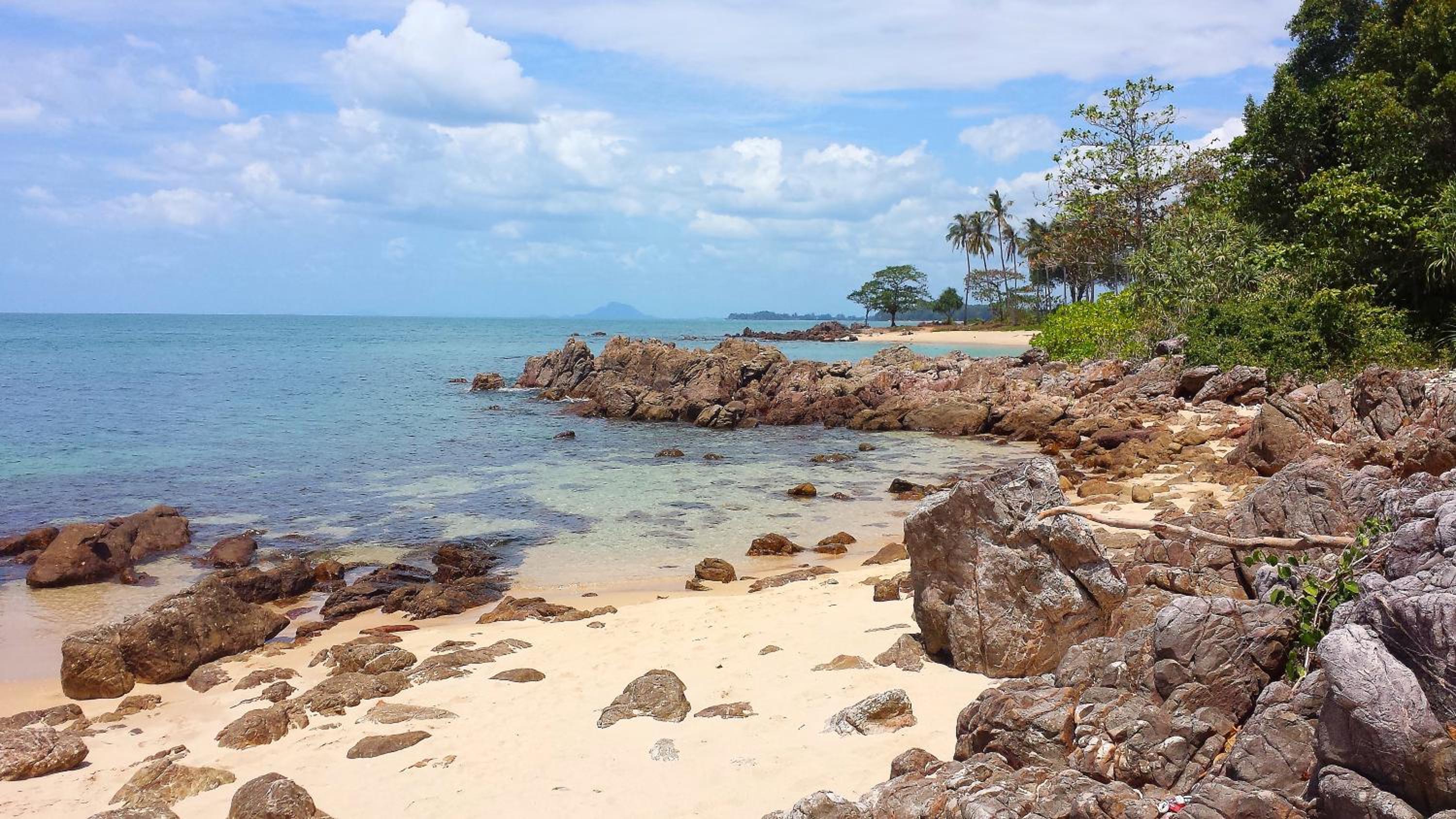 Photo 36