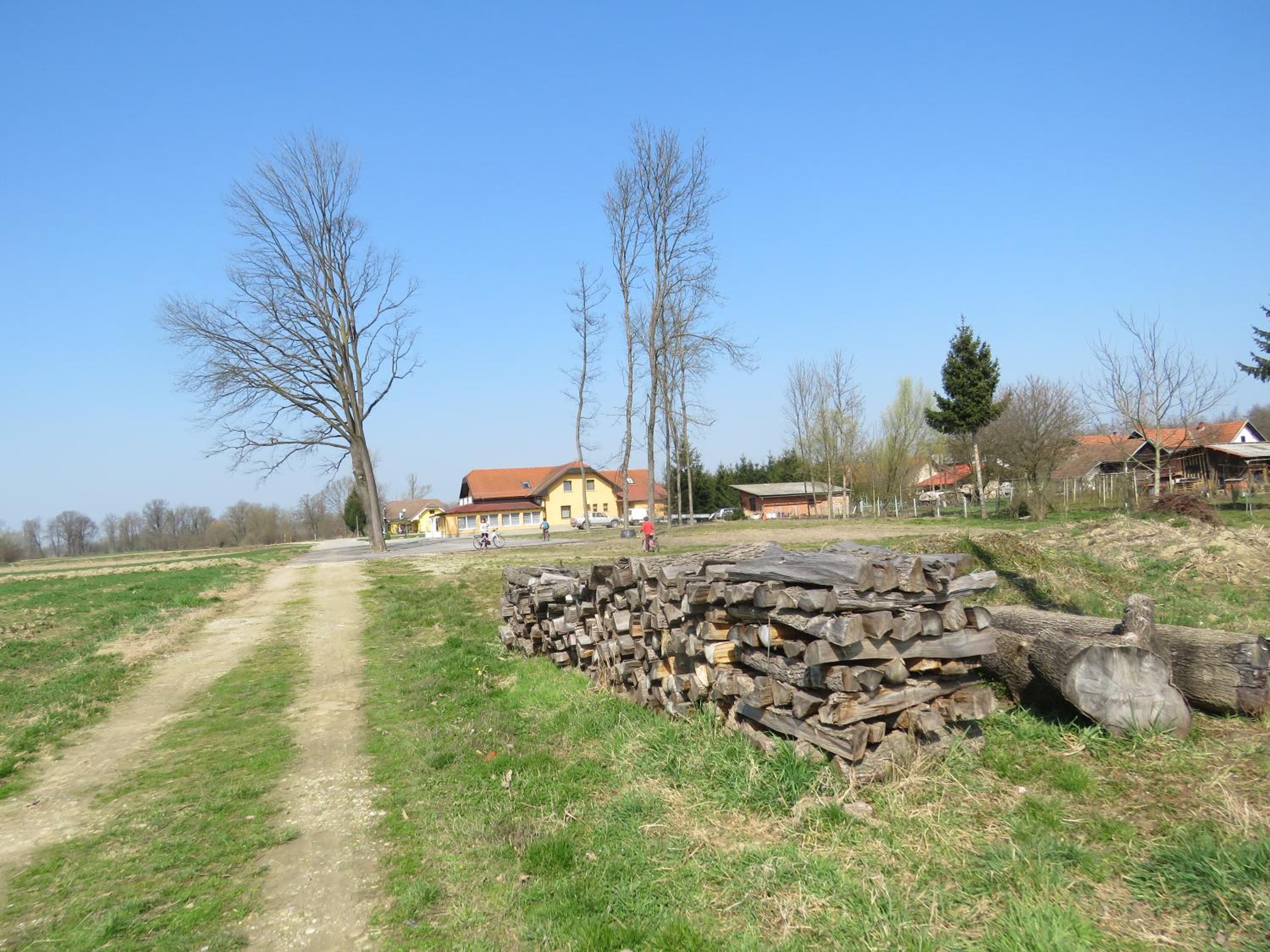 Photo 38