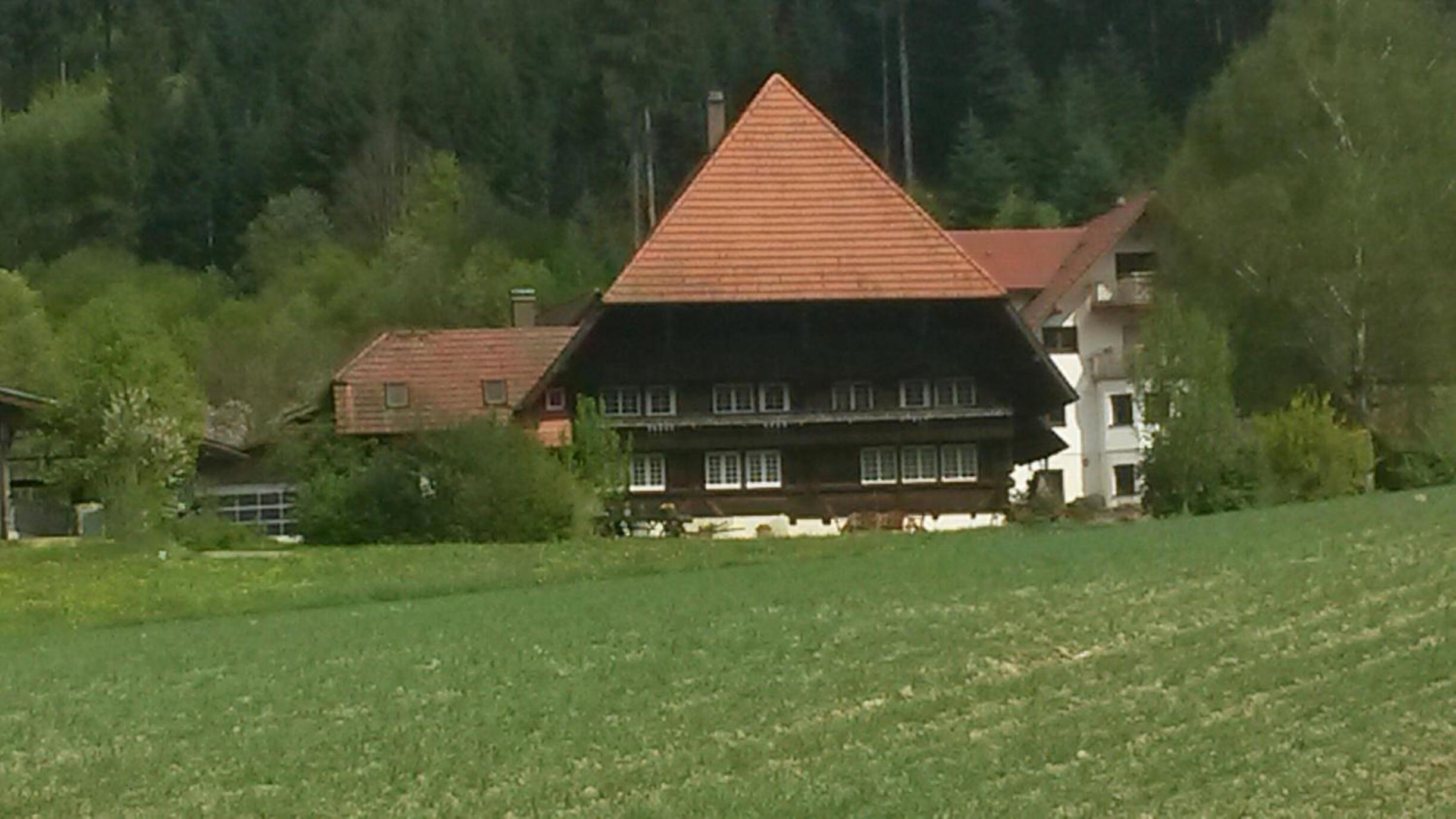 Rommelehof