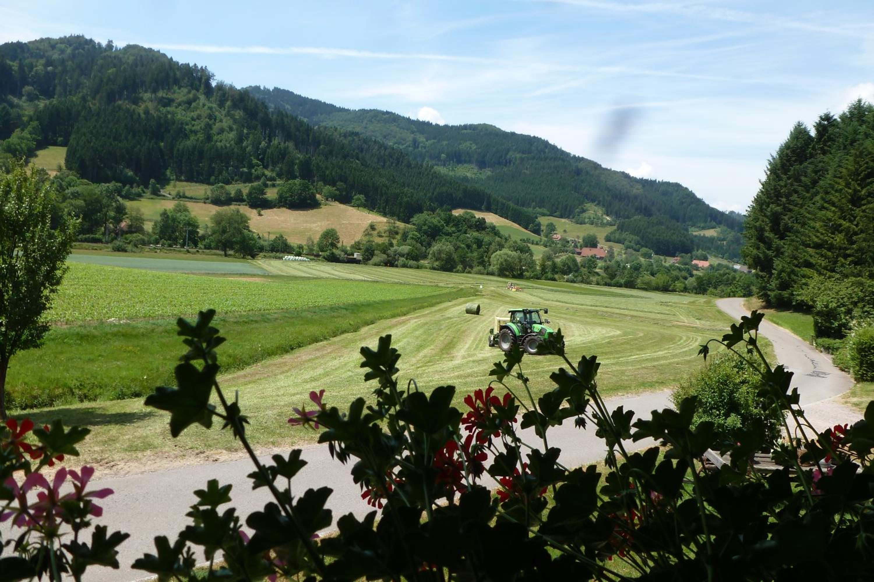 Rommelehof