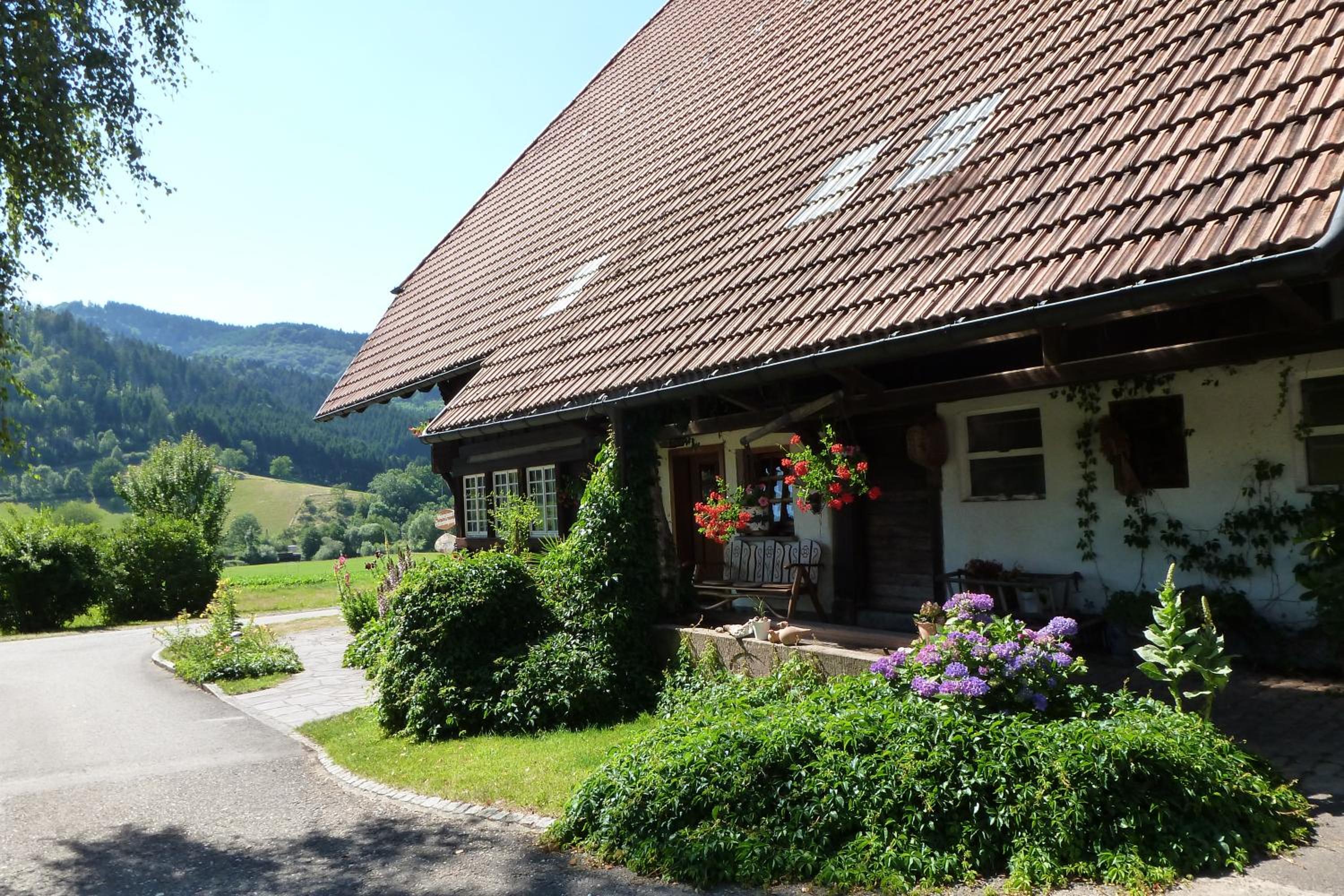 Rommelehof