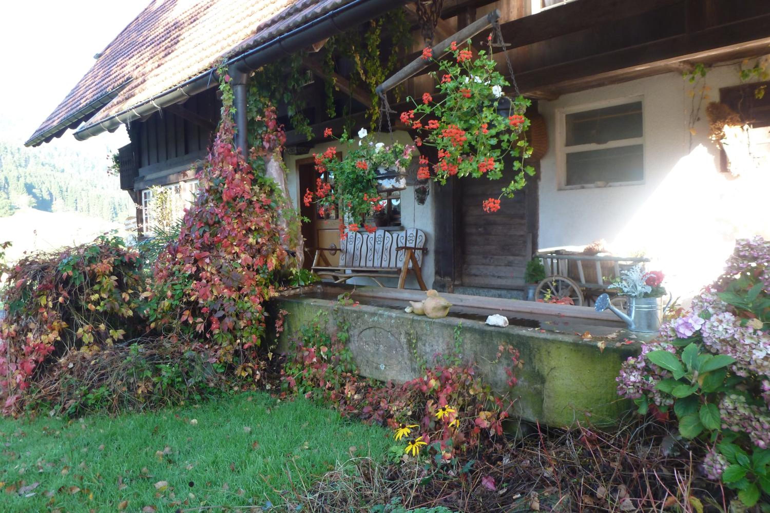 Rommelehof