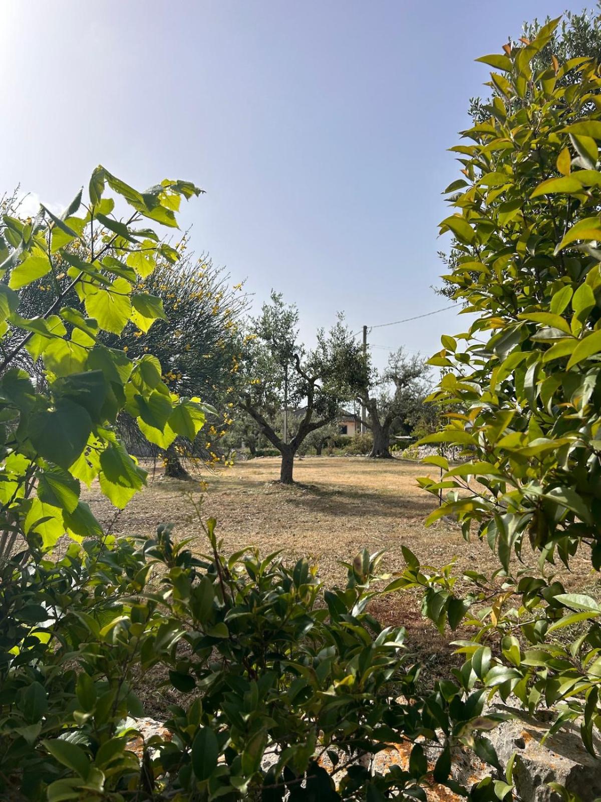 Trullo Marilì