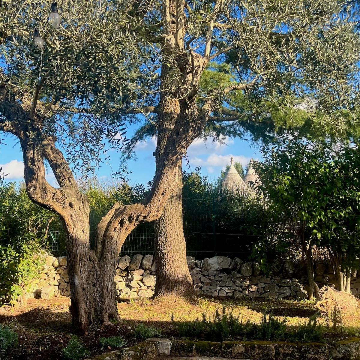 Trullo Marilì