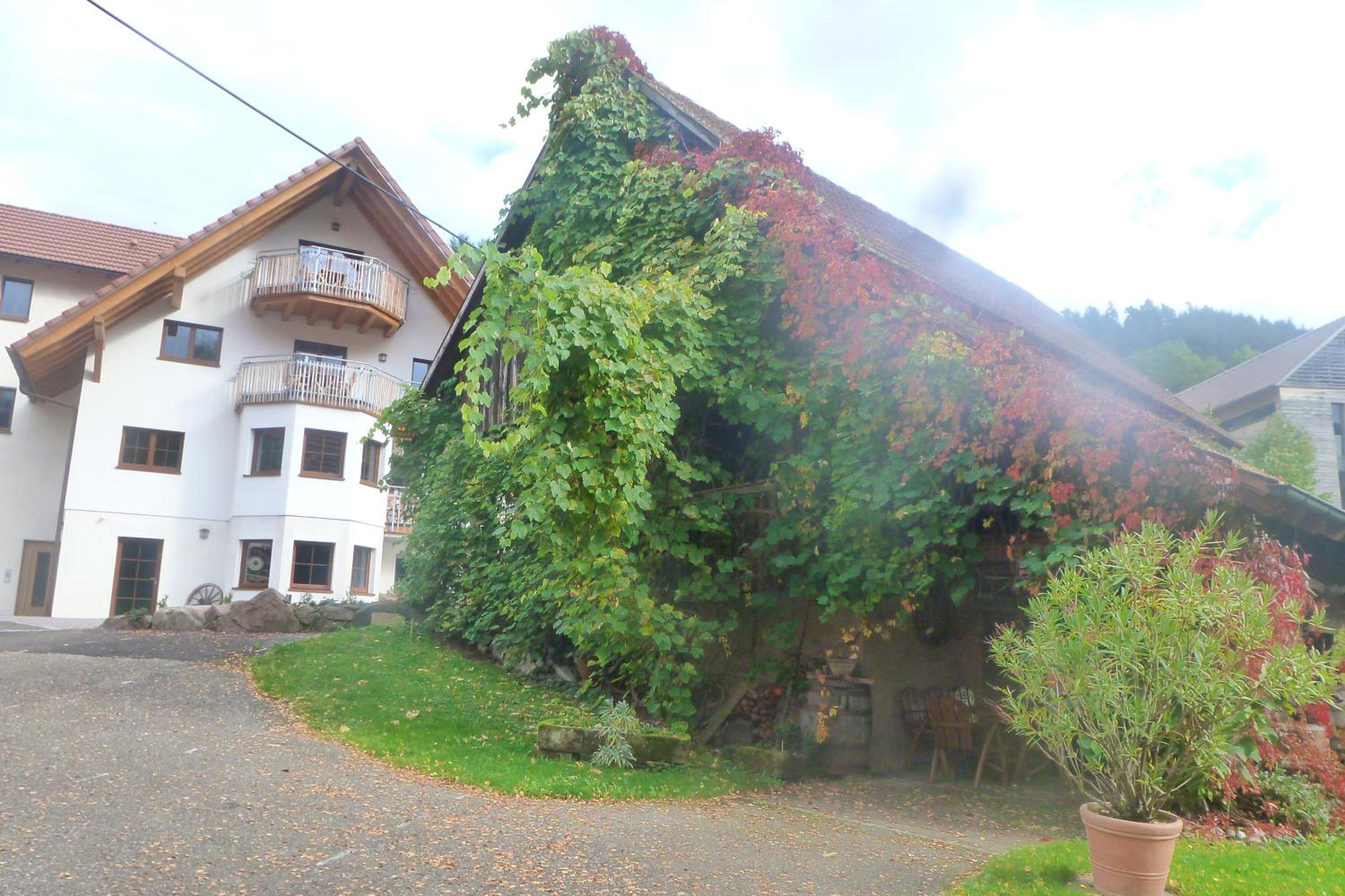 Rommelehof