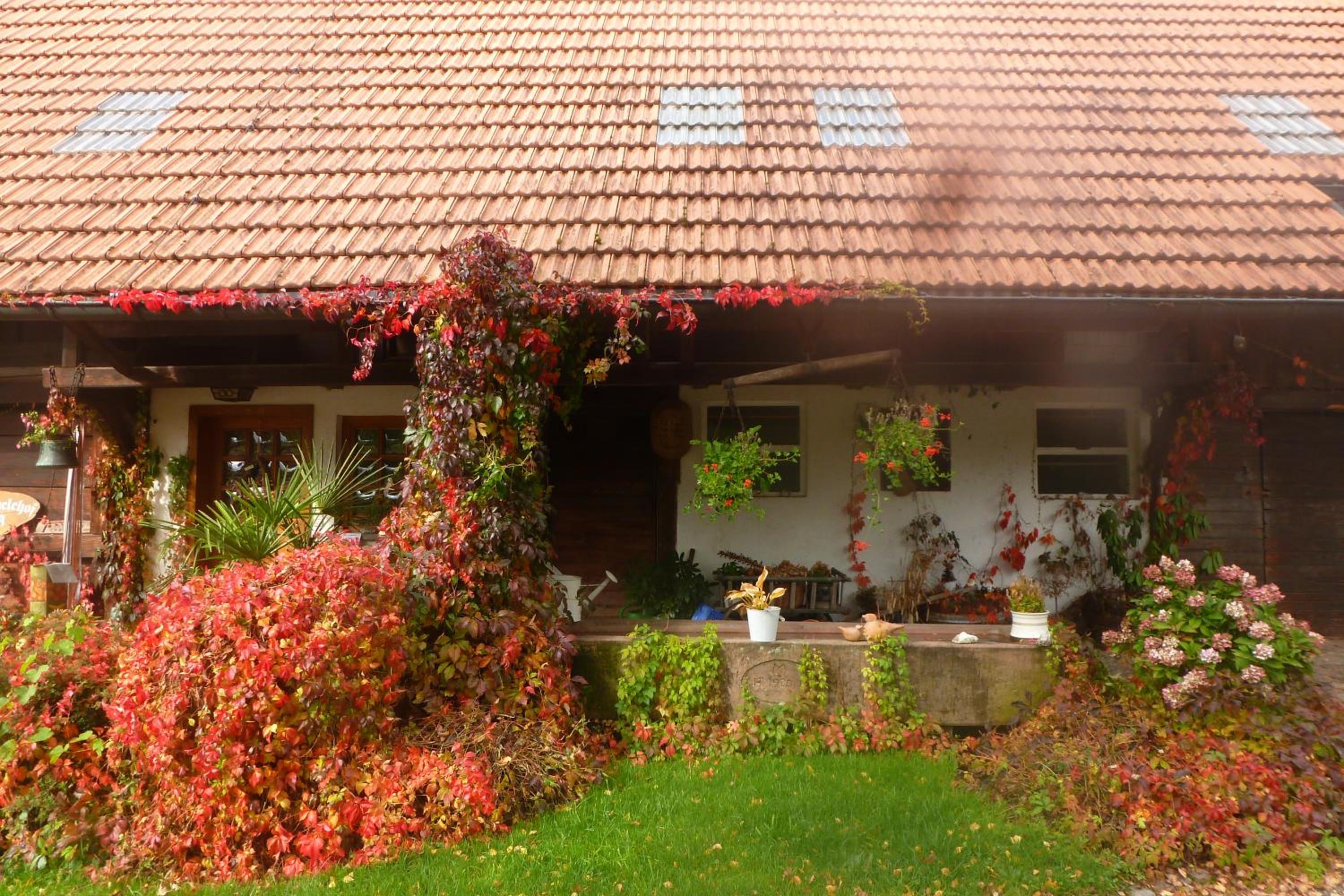 Rommelehof