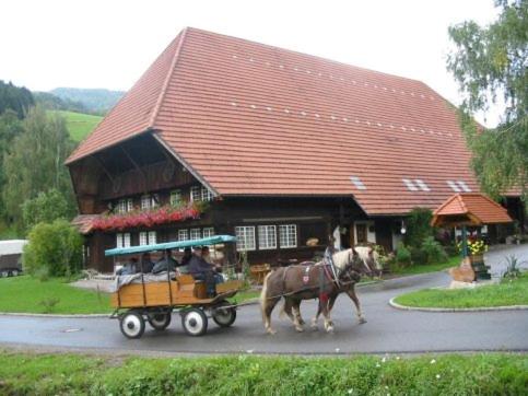 Rommelehof
