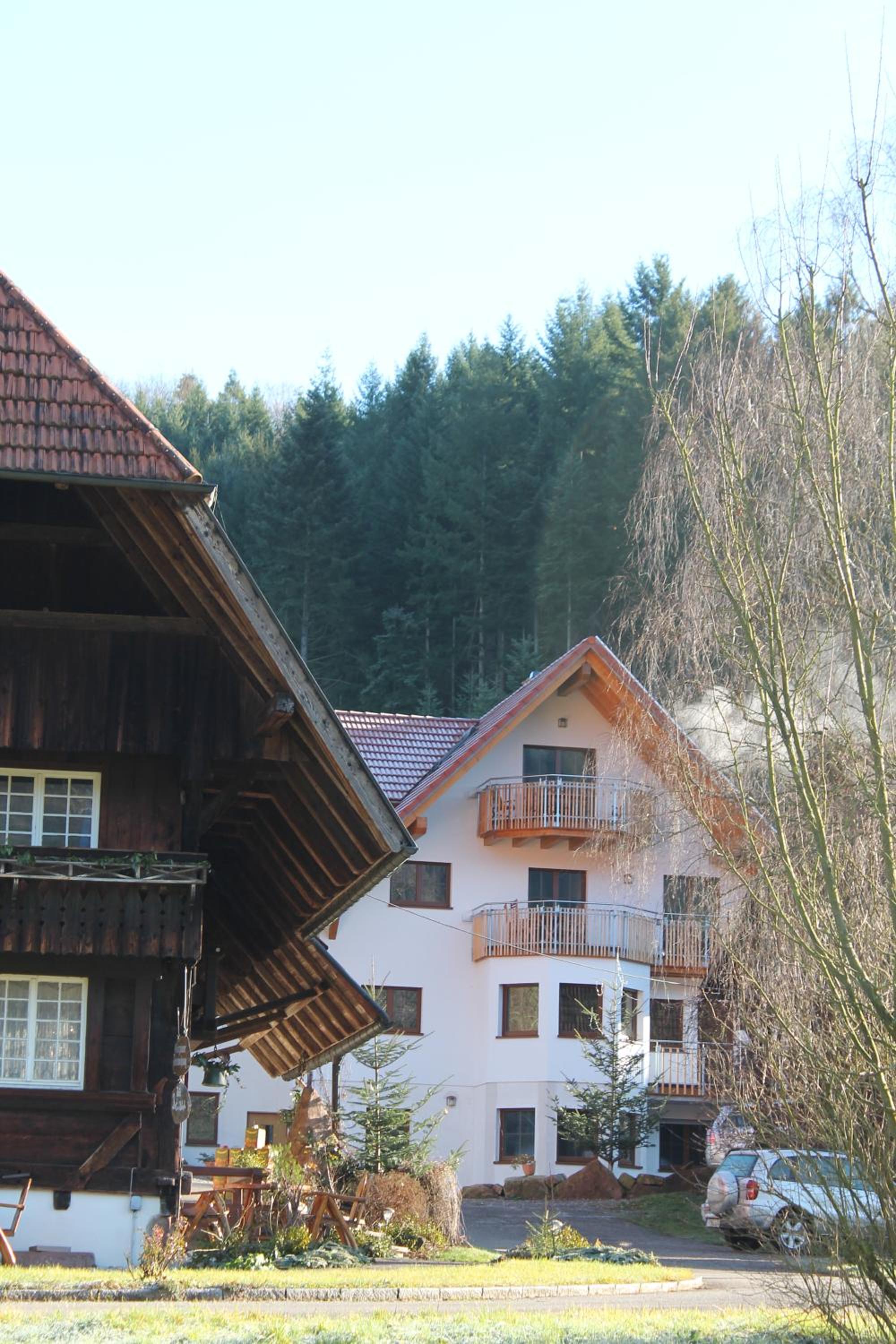 Rommelehof