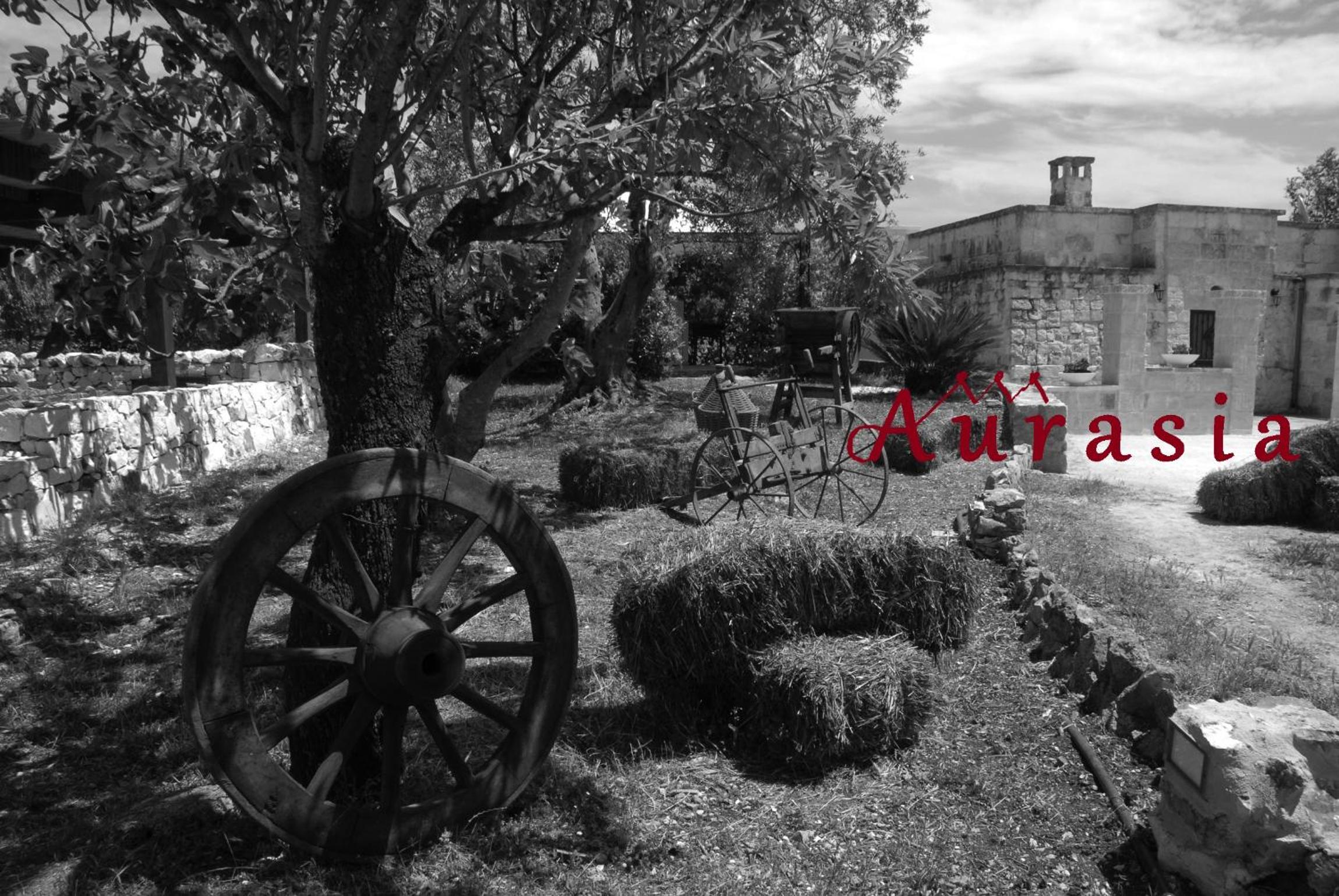 B&b Aurasia