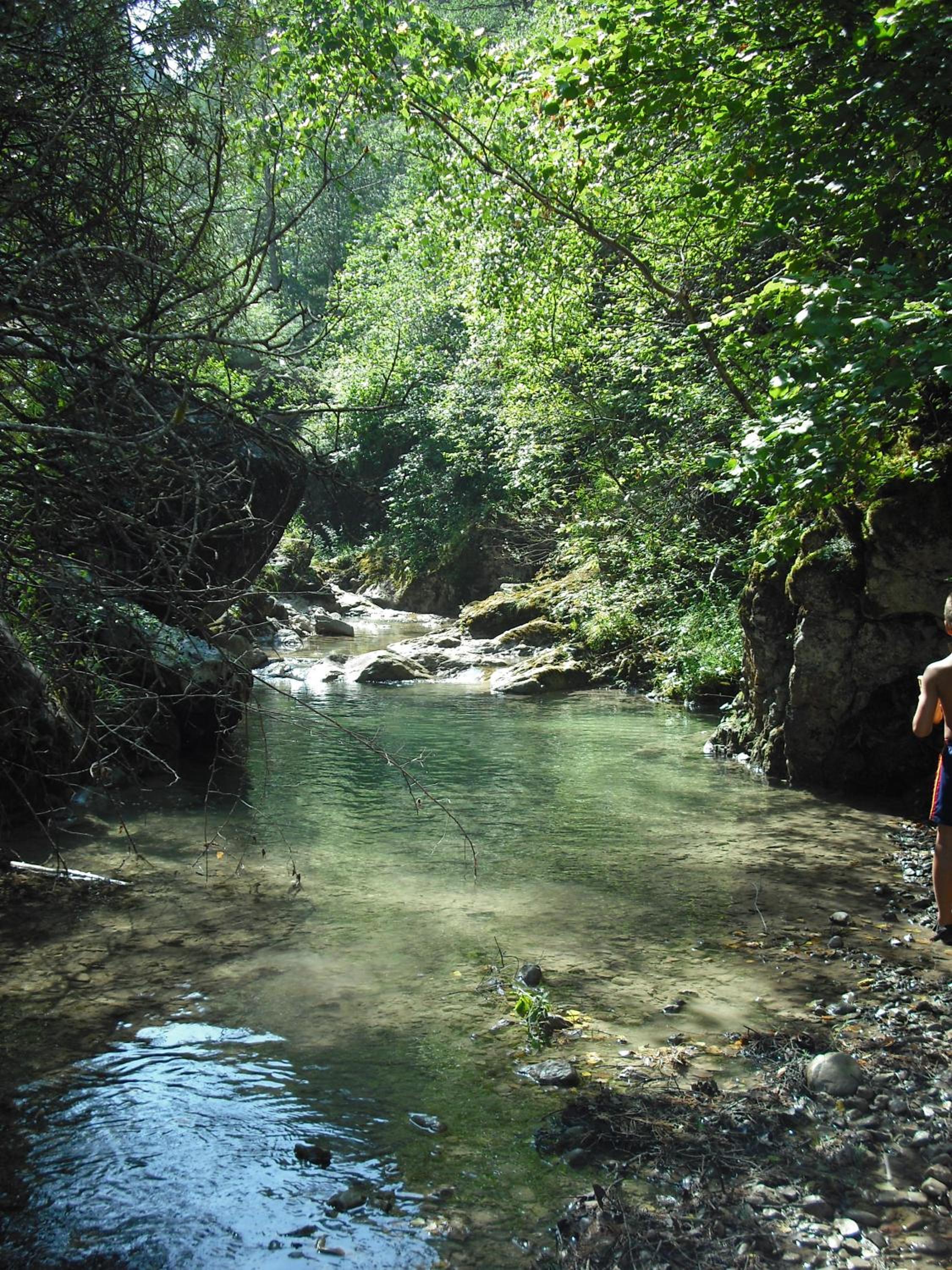 El Molino