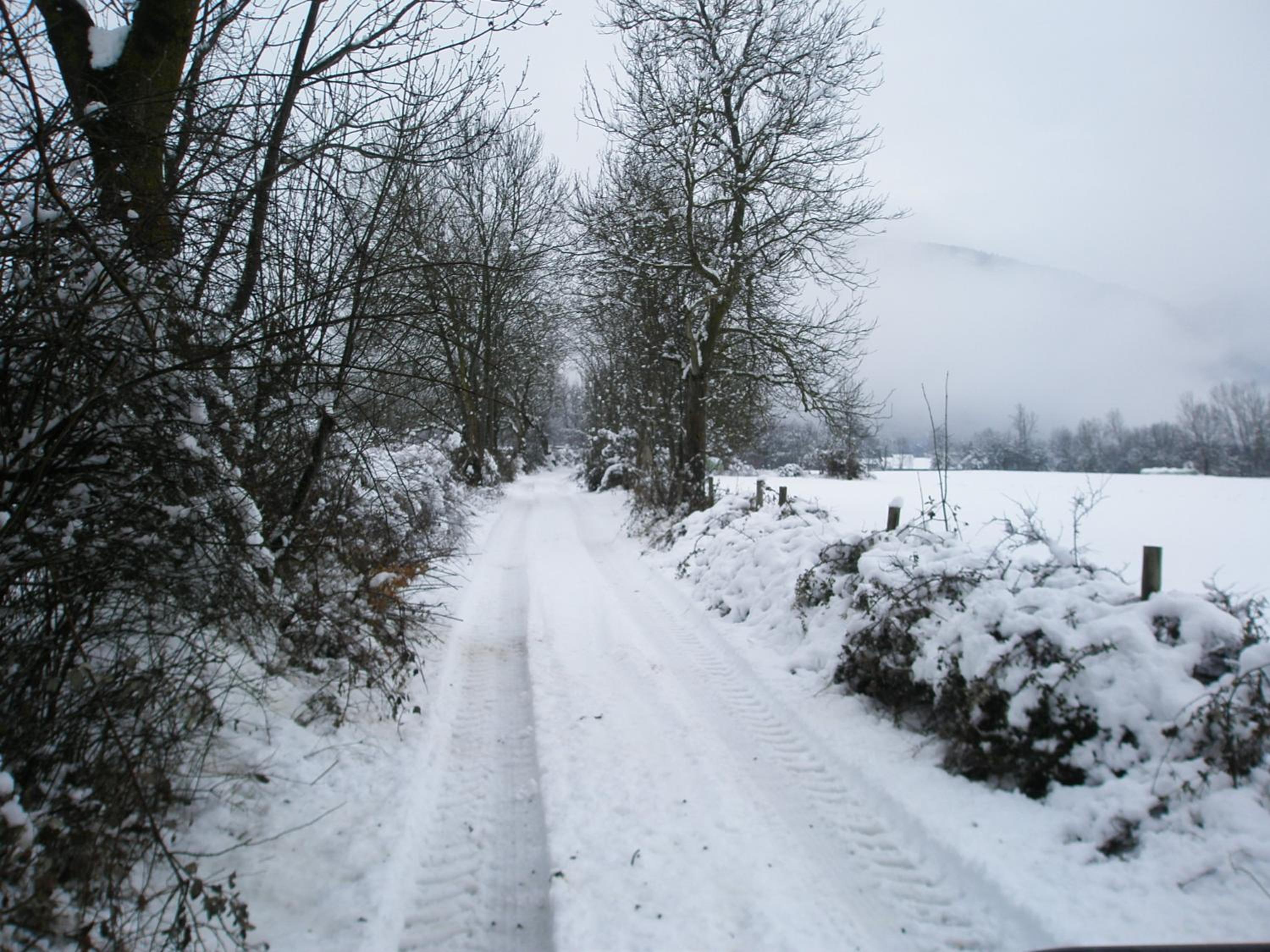 El Molino