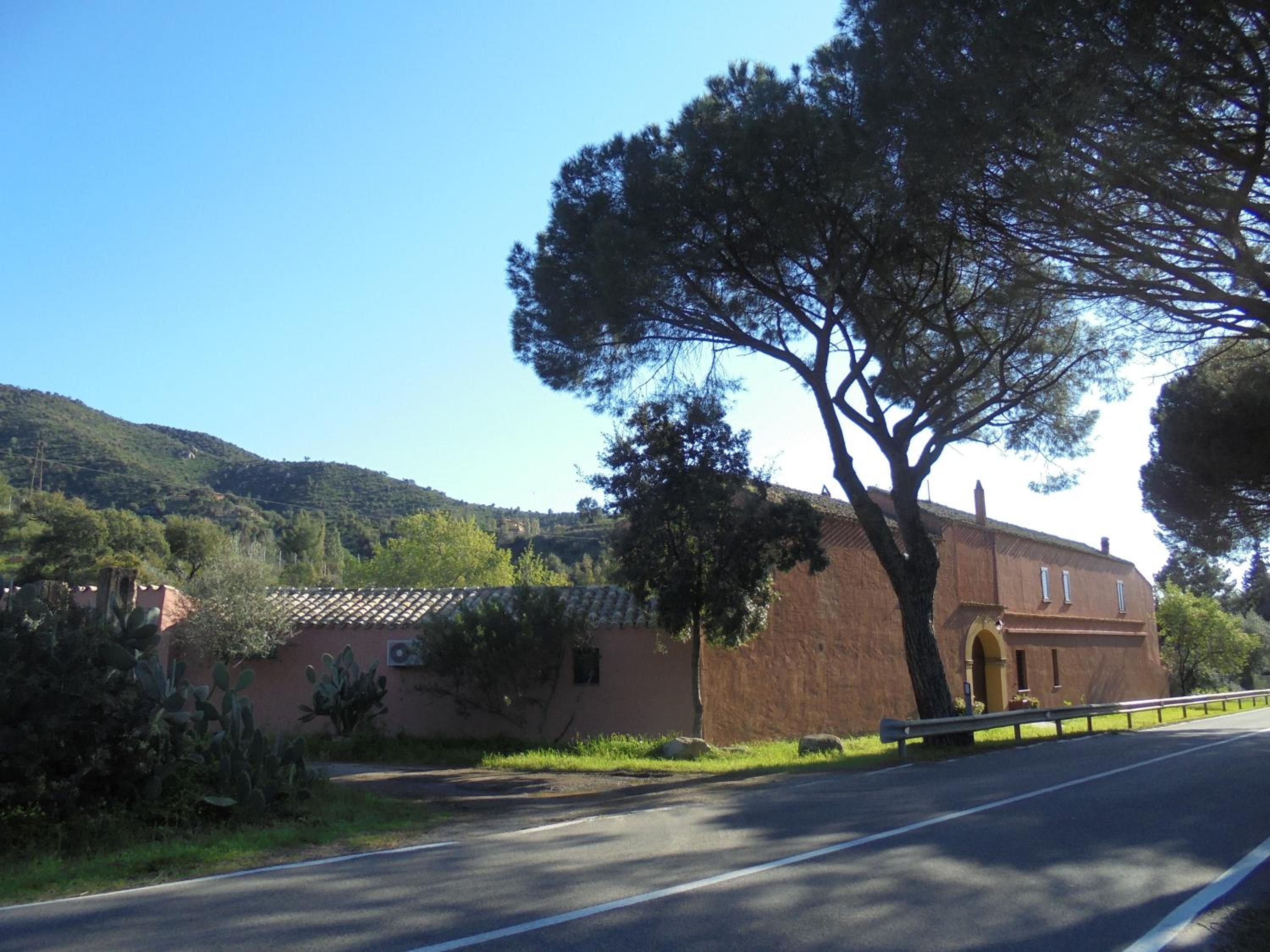Photo 47