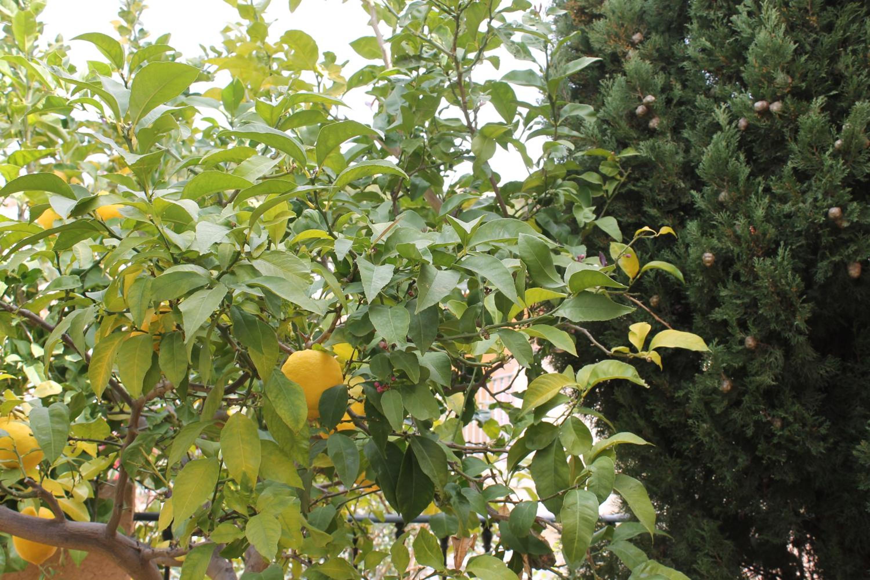 Photo 28