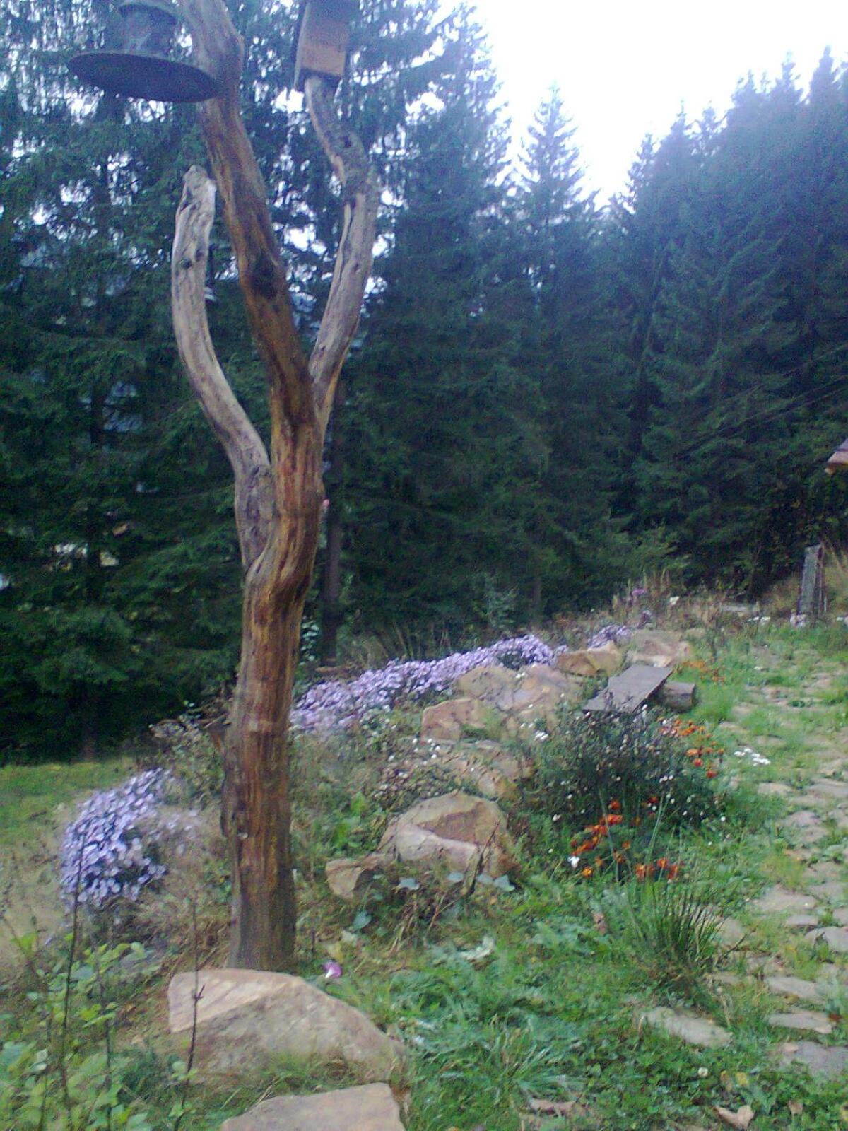 Photo 46