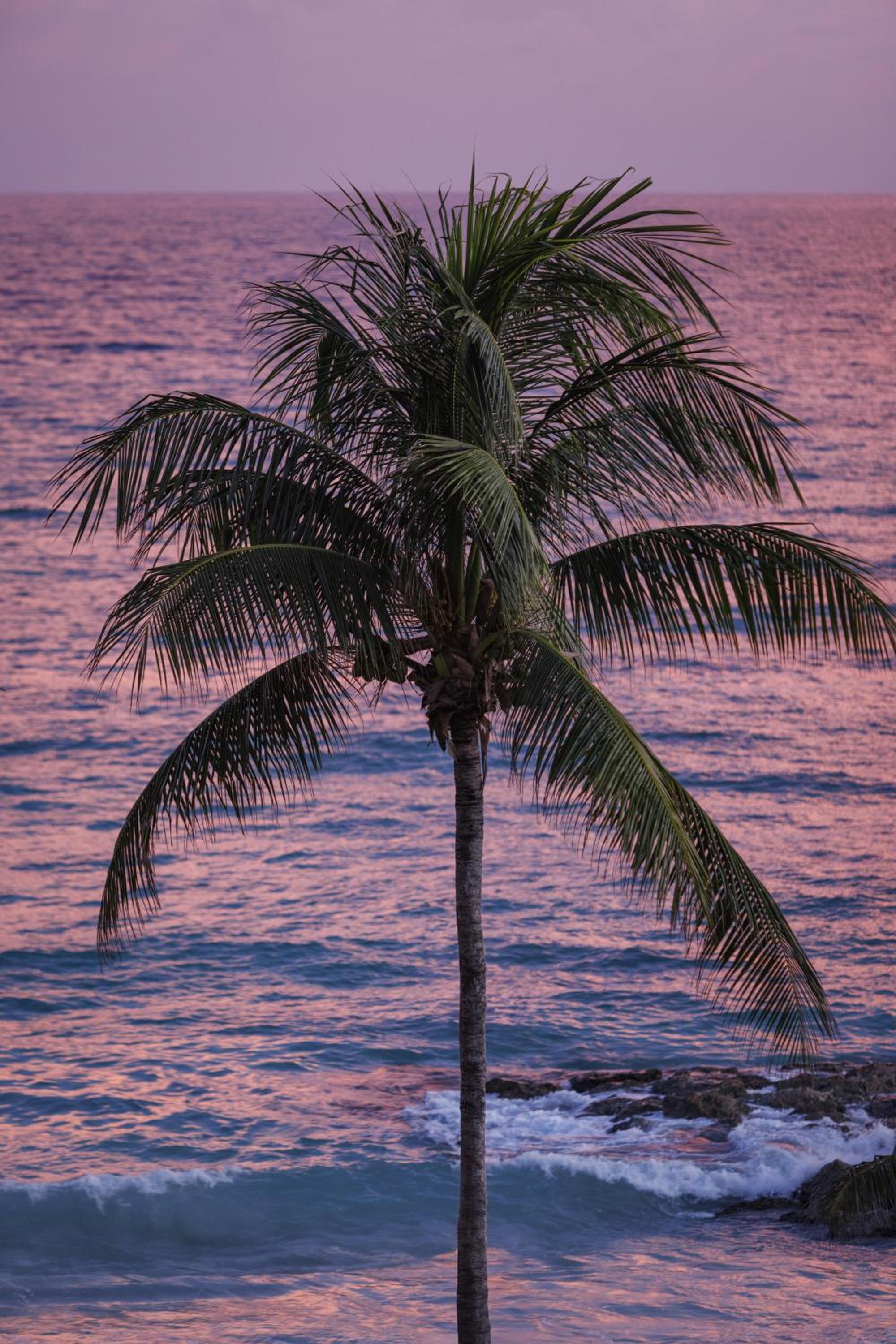 Sandals Grenada All Inclusive - Couples Only - Photo 155