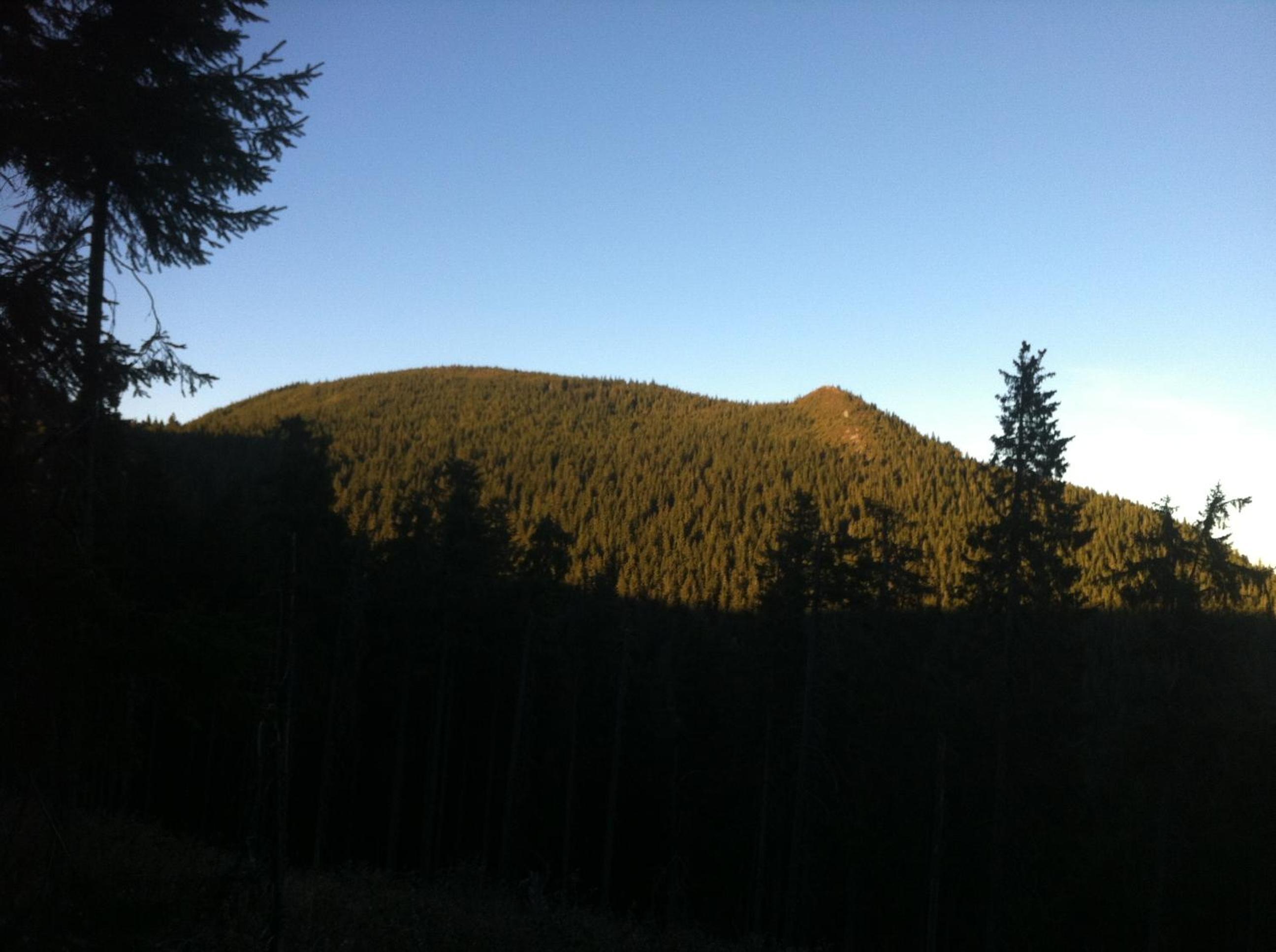 Photo 49