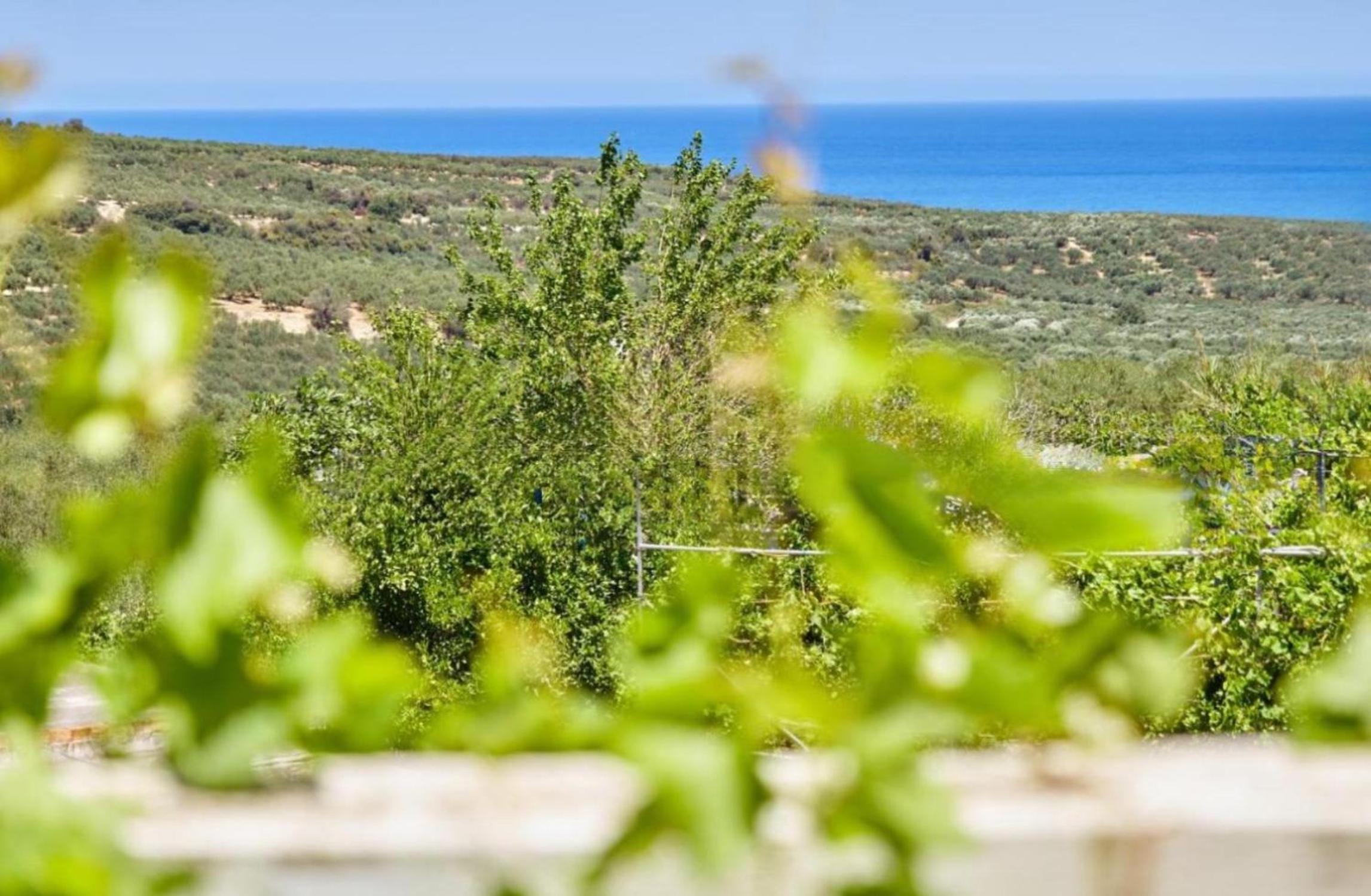 Elaiona Country Home