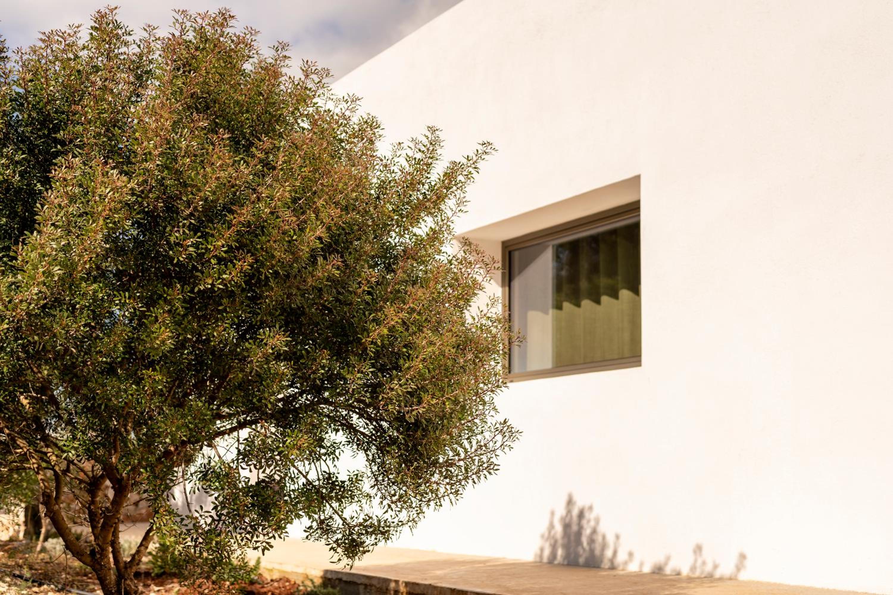 Botanico Villa & Suites