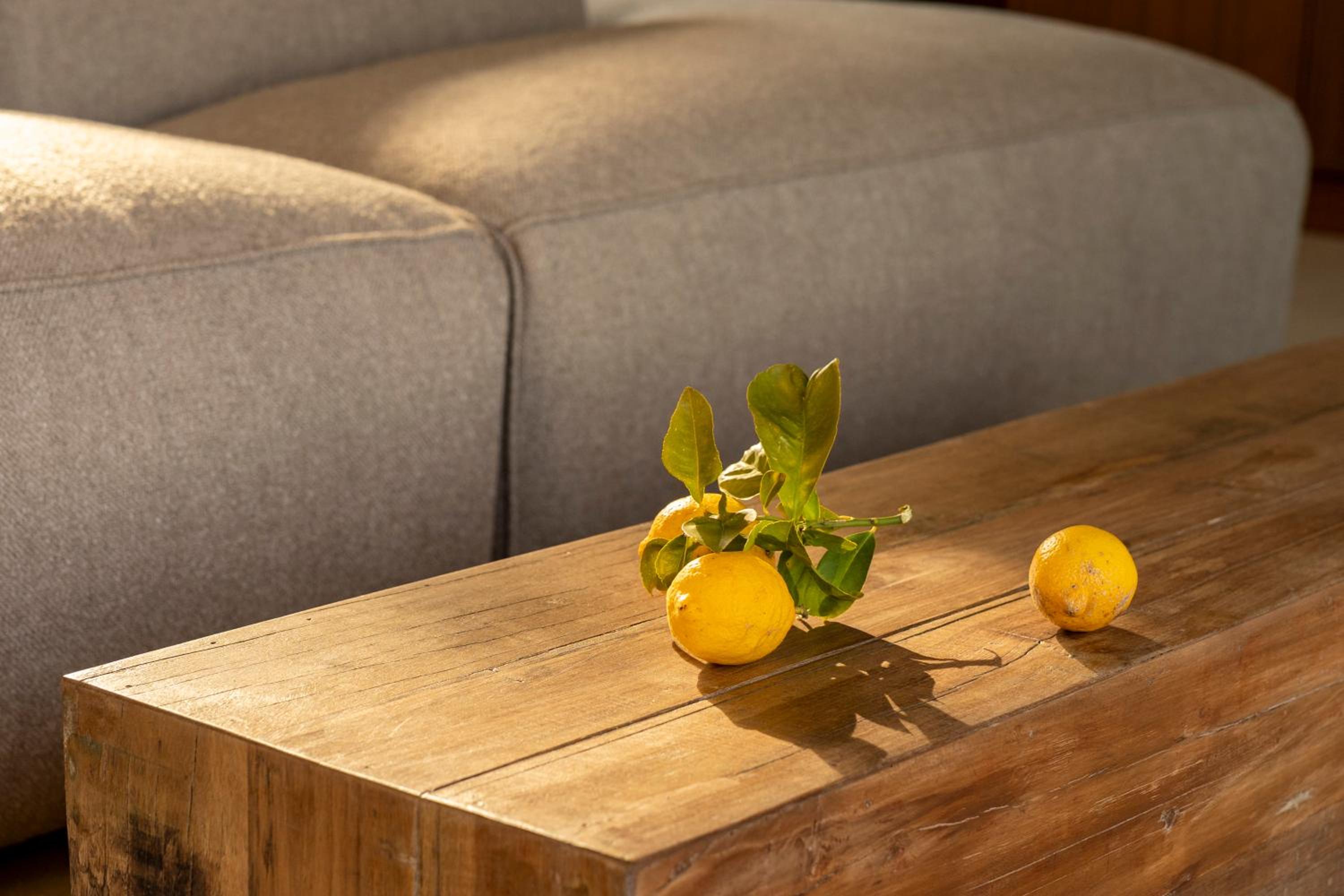 Botanico Villa & Suites