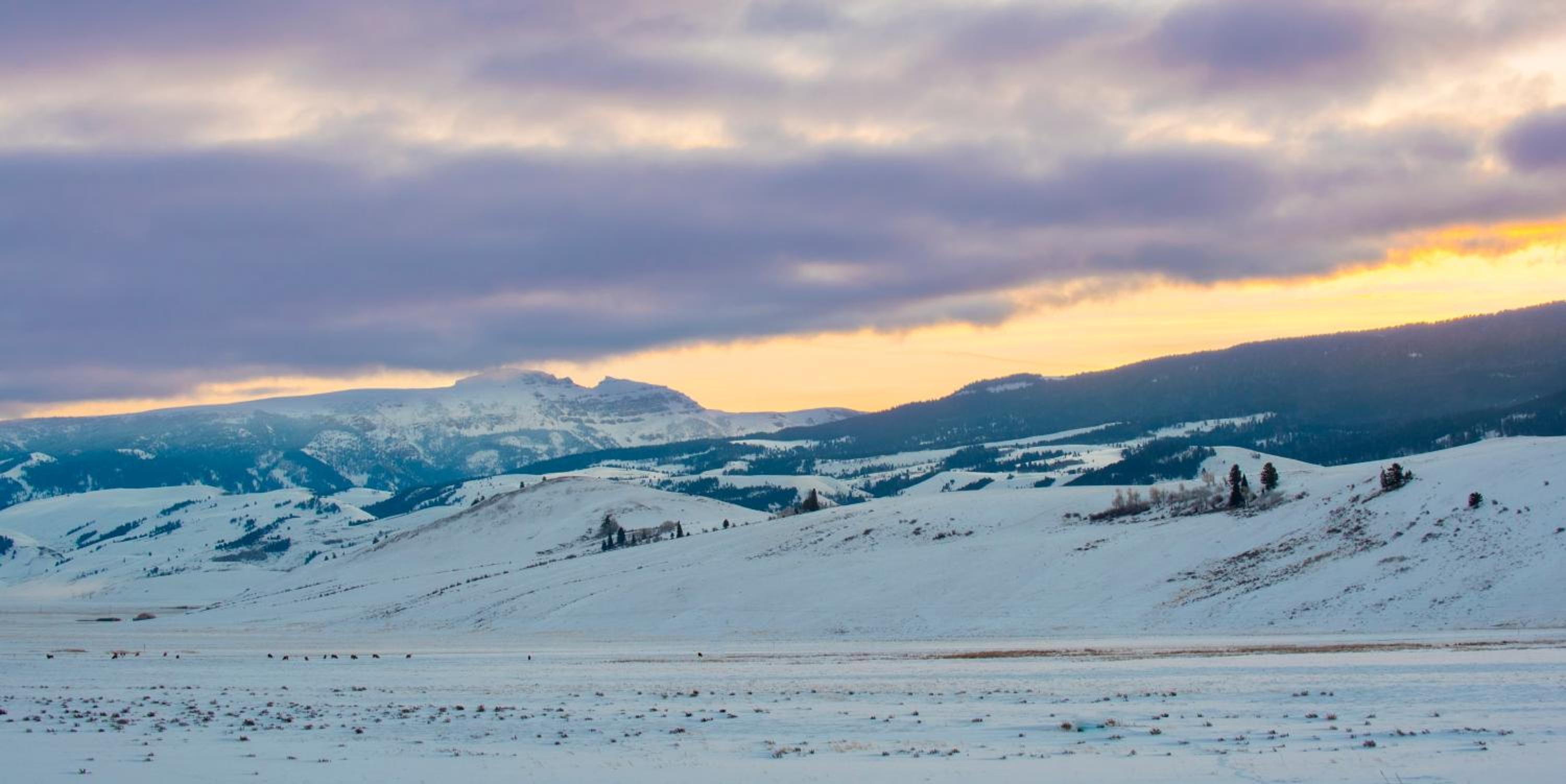 Elk Refuge Inn