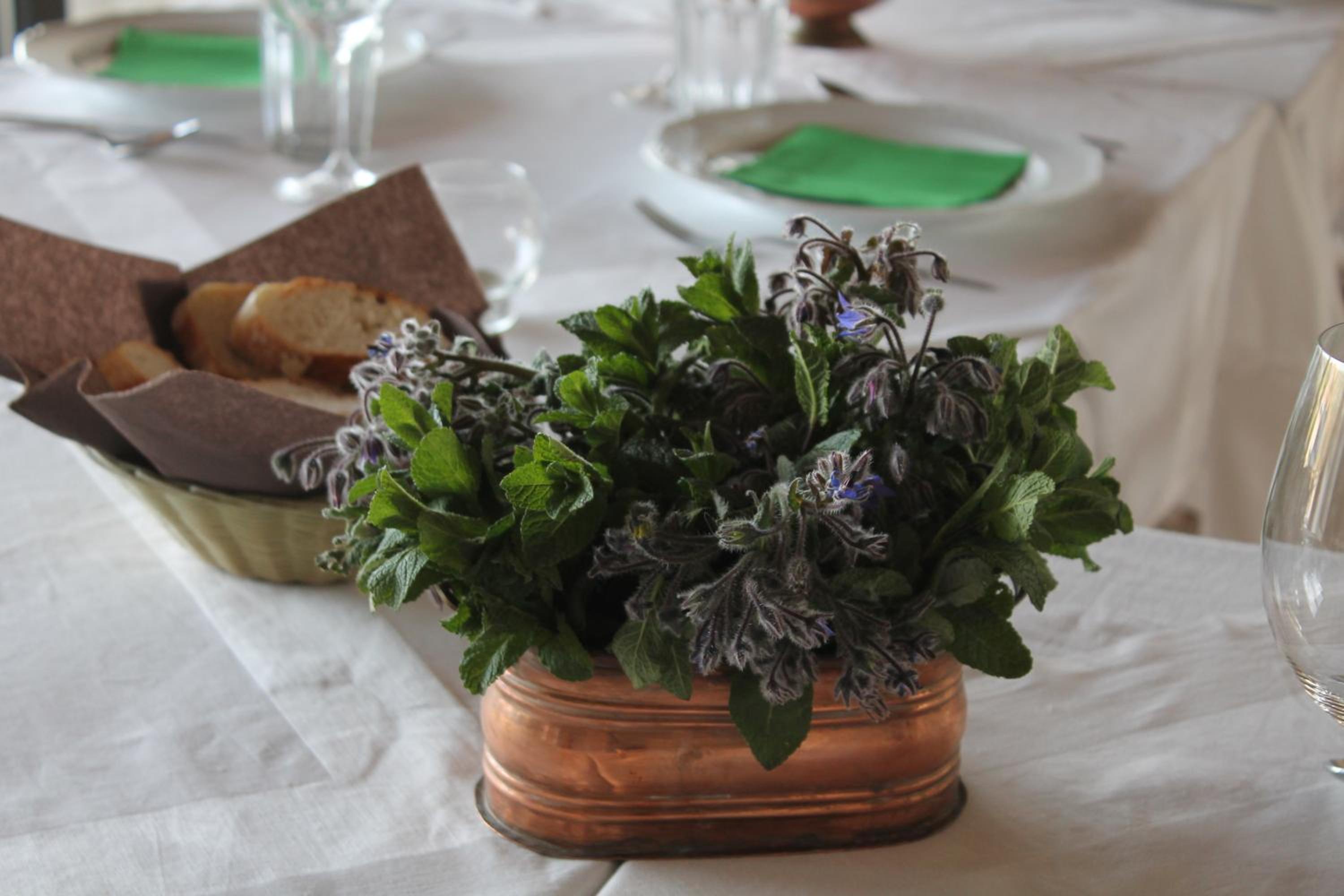 Country House Erba Regina