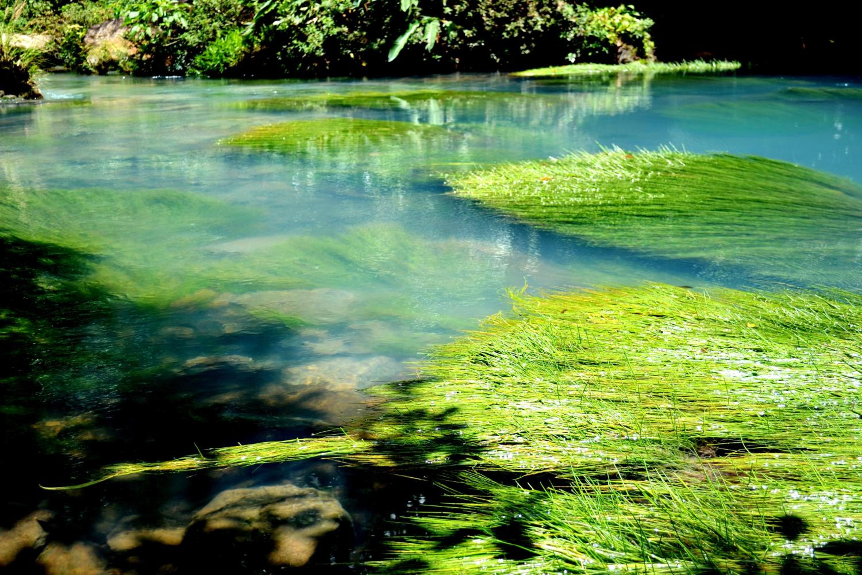 Vocaré Finca Agroecológica