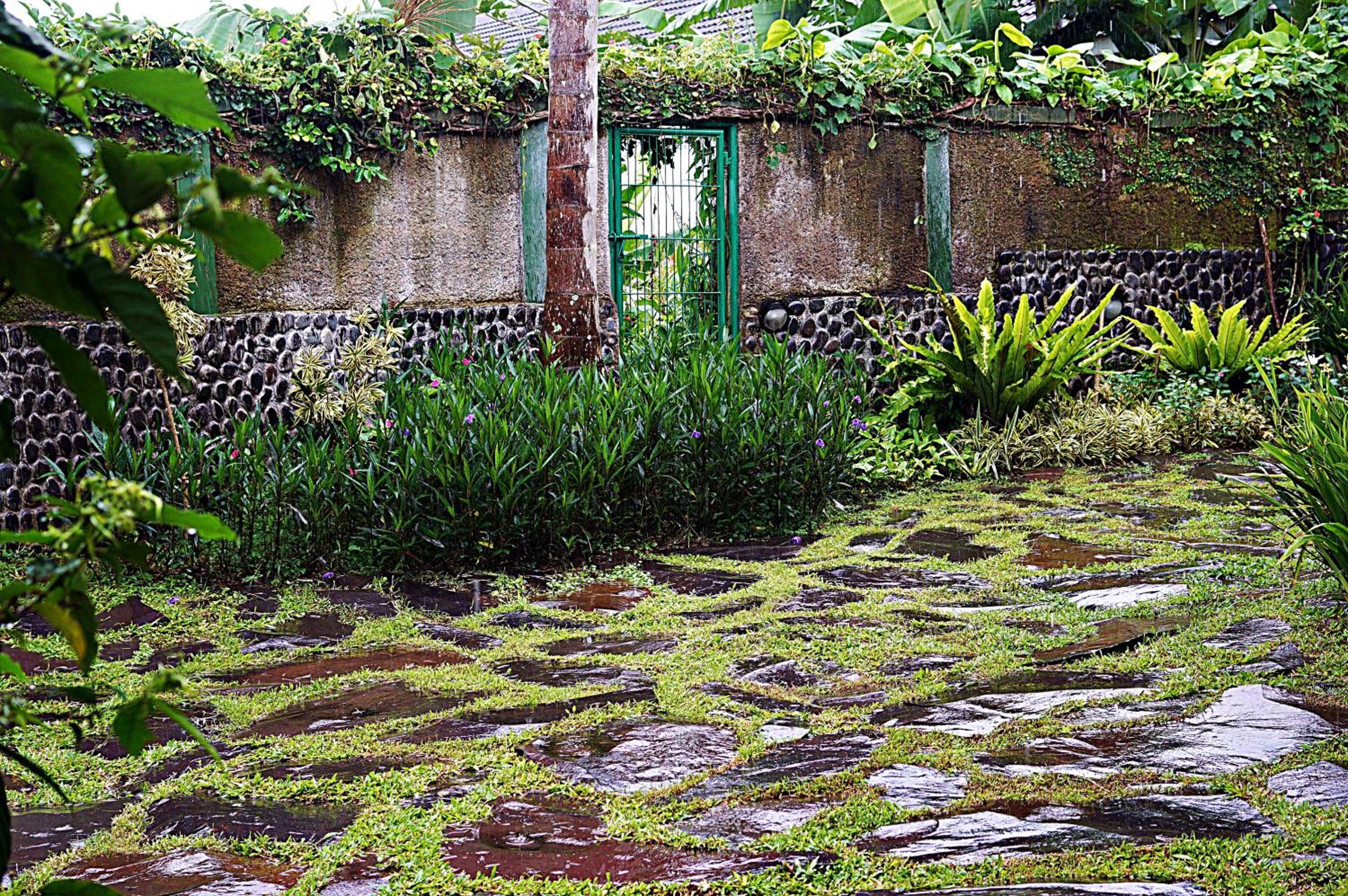 Holidayhome Alam Cipanas Puncak, Puncak - 22