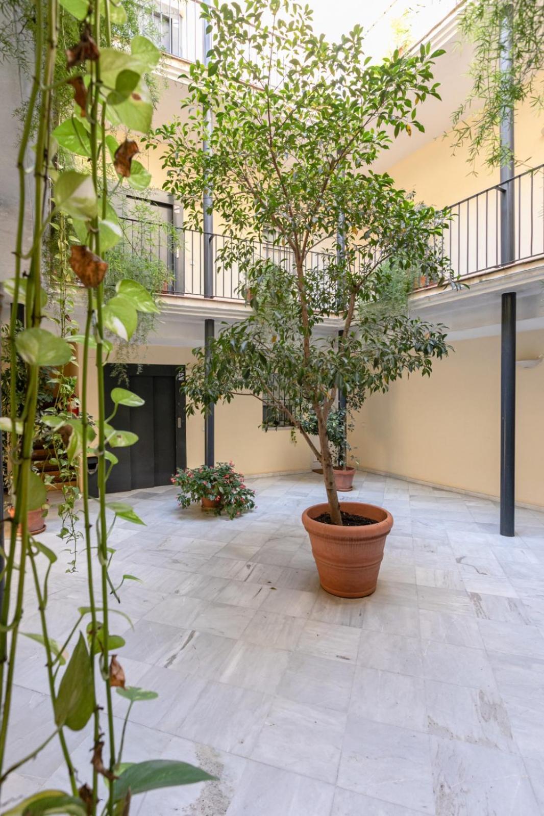 GoToSeville San Bernardo