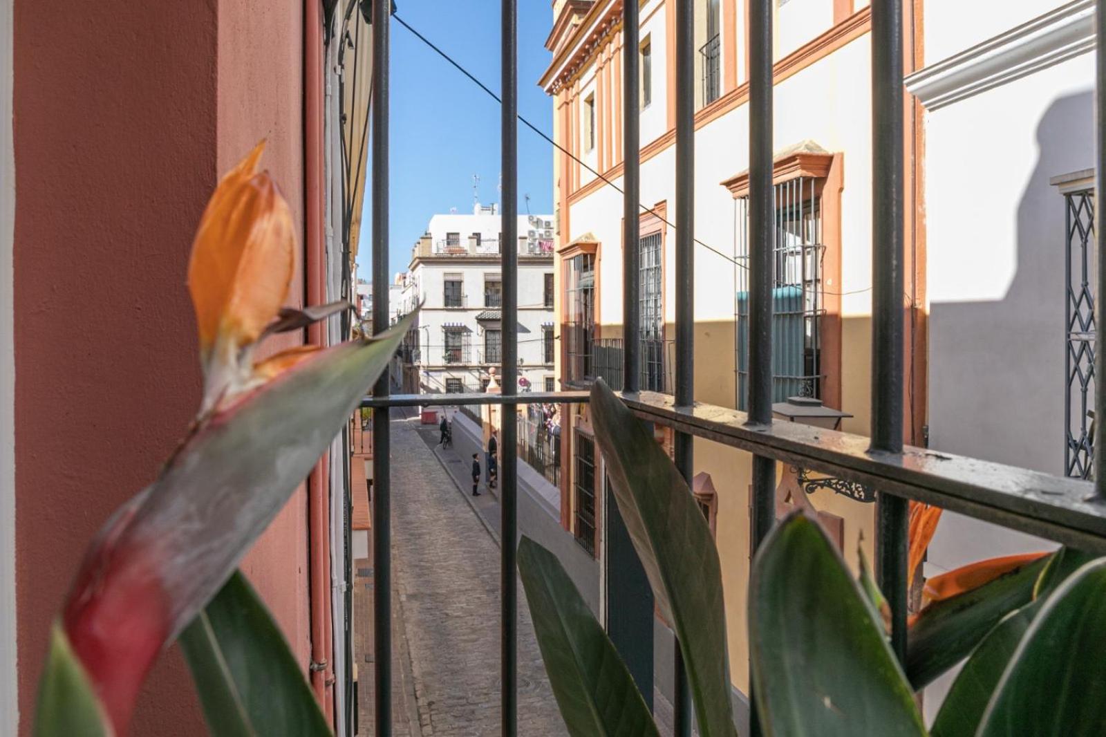 GoToSeville San Bernardo