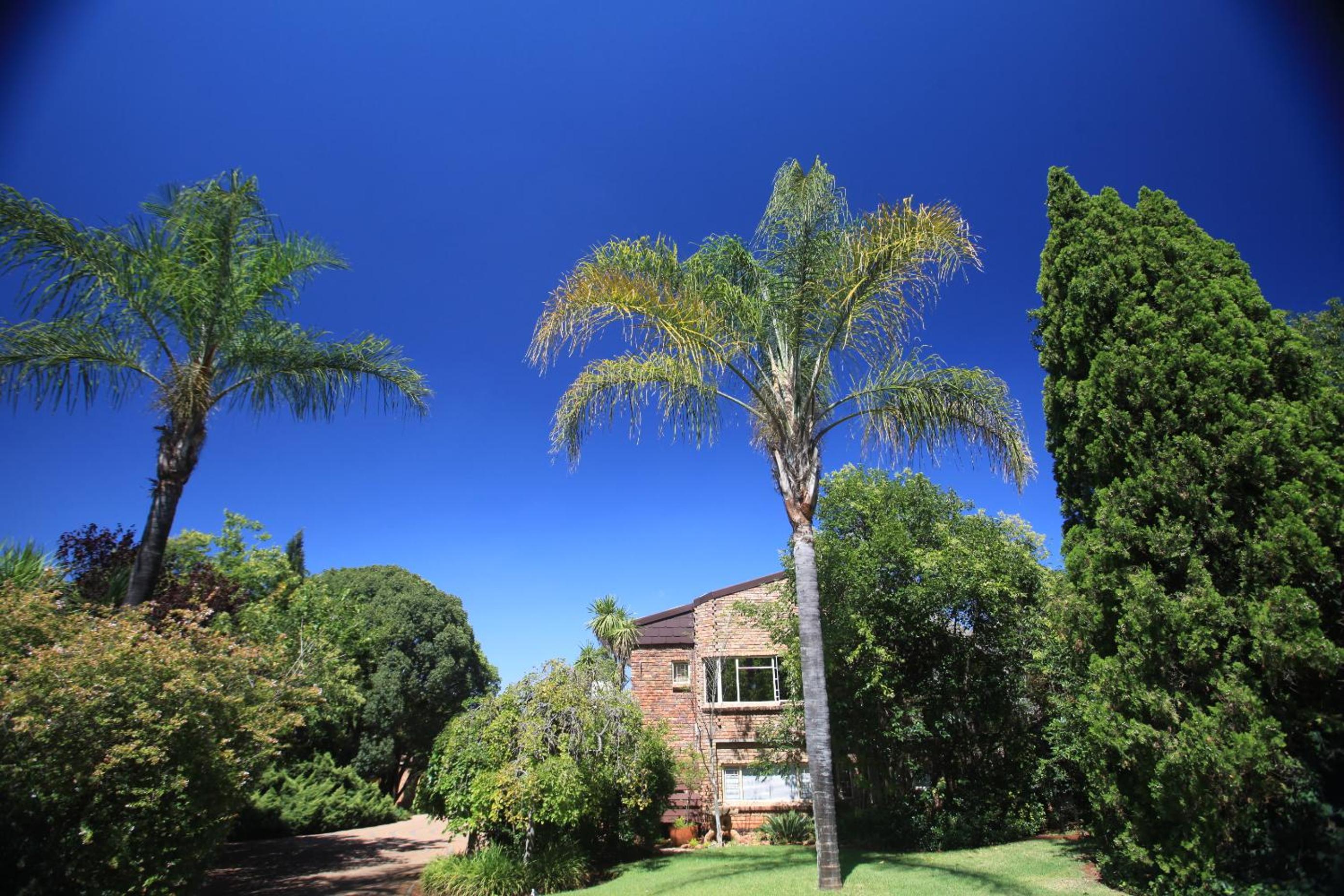 Andante Lodge