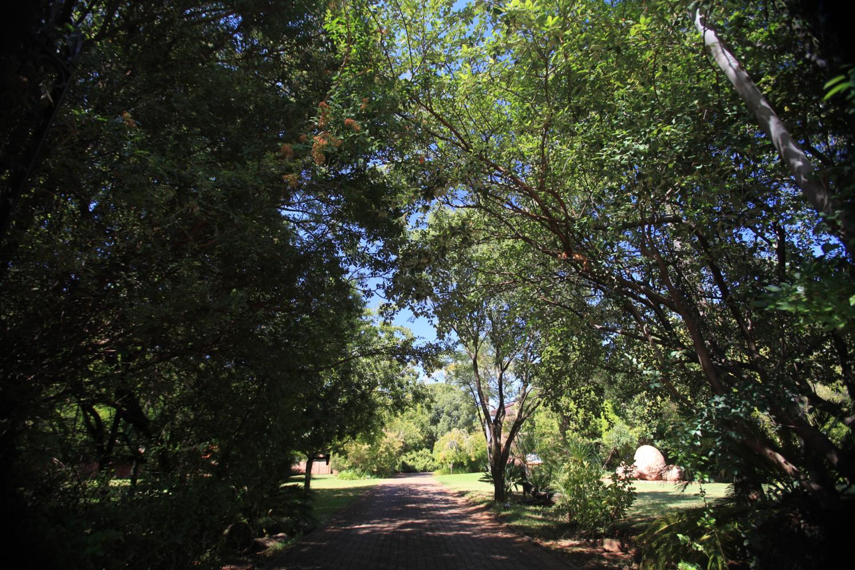 Andante Lodge