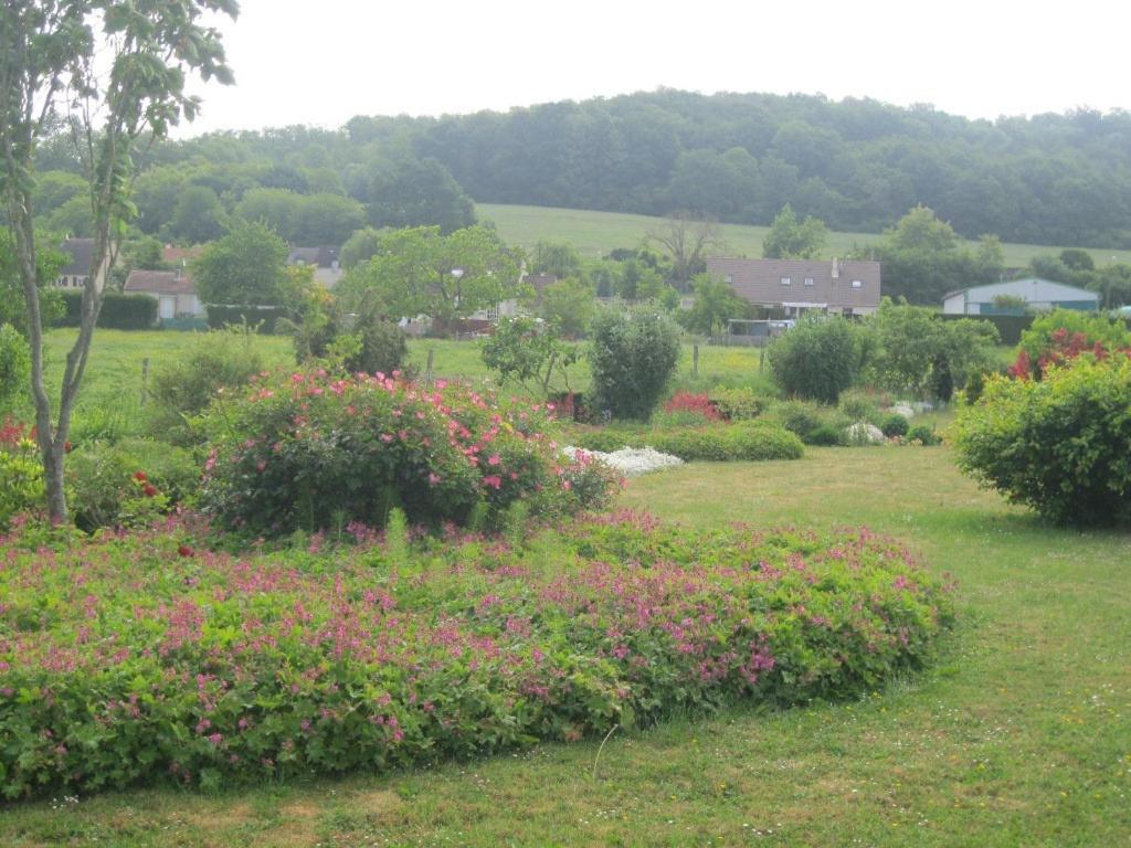Photo 41