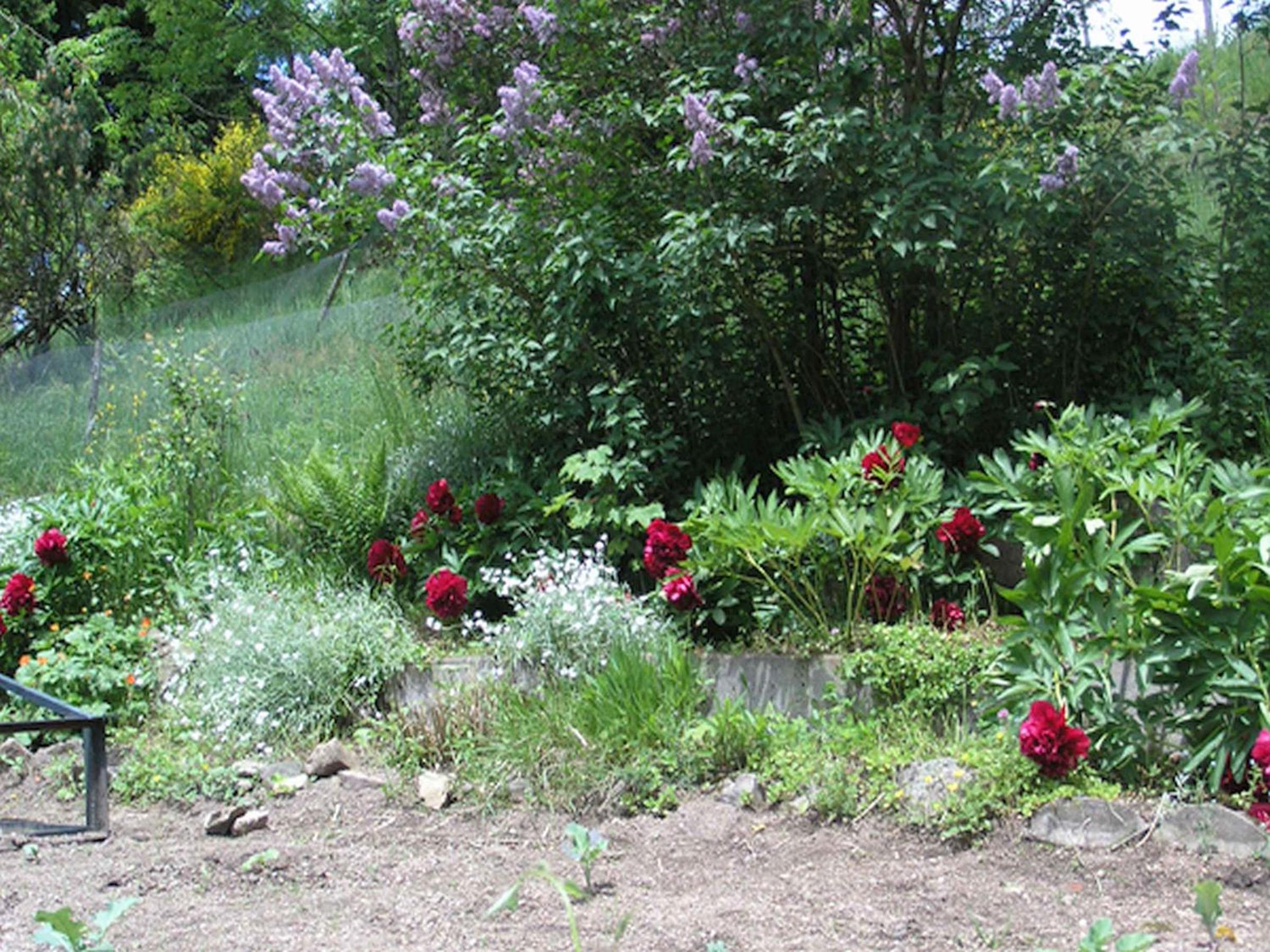 Photo 44