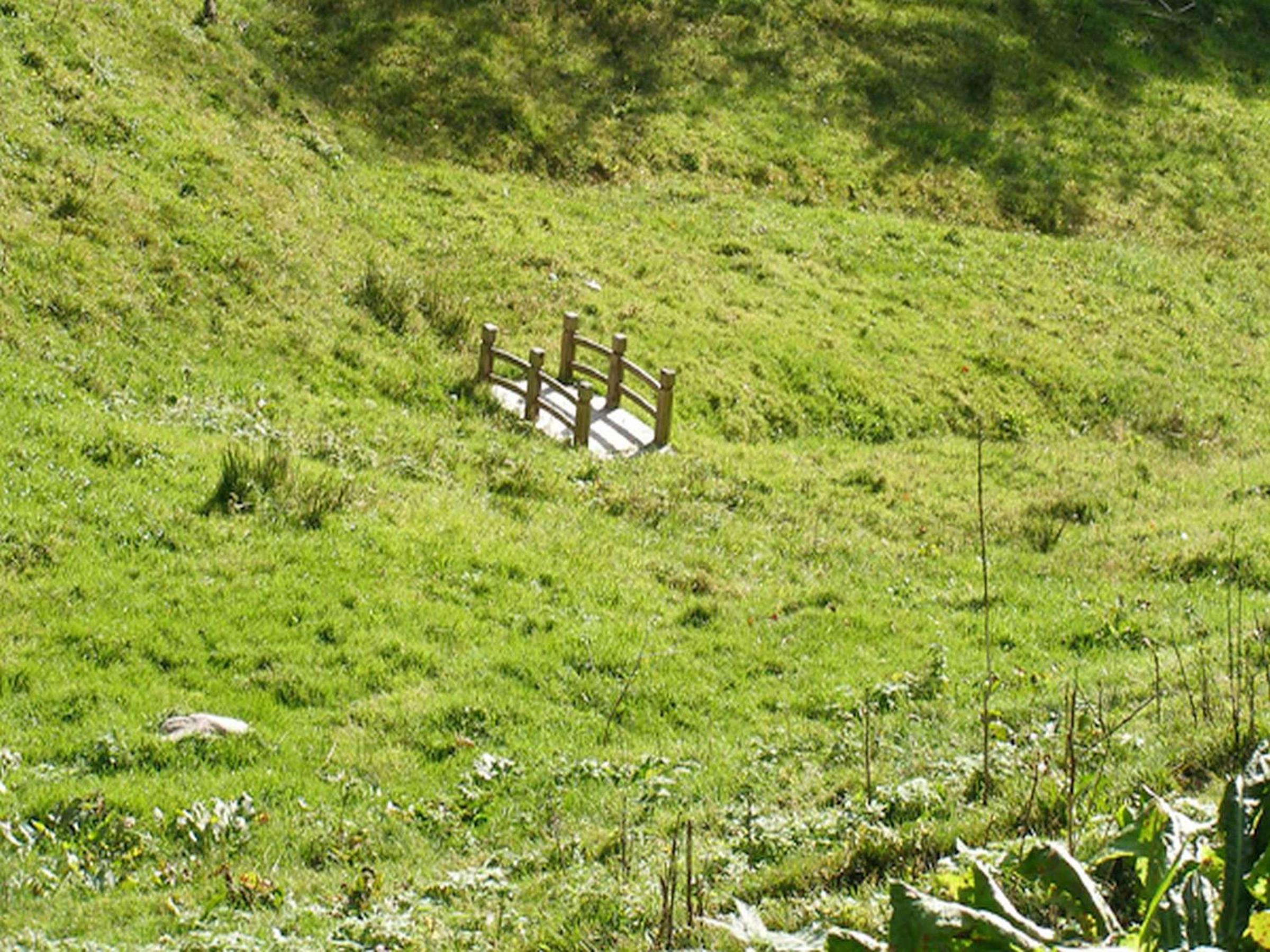 Photo 48