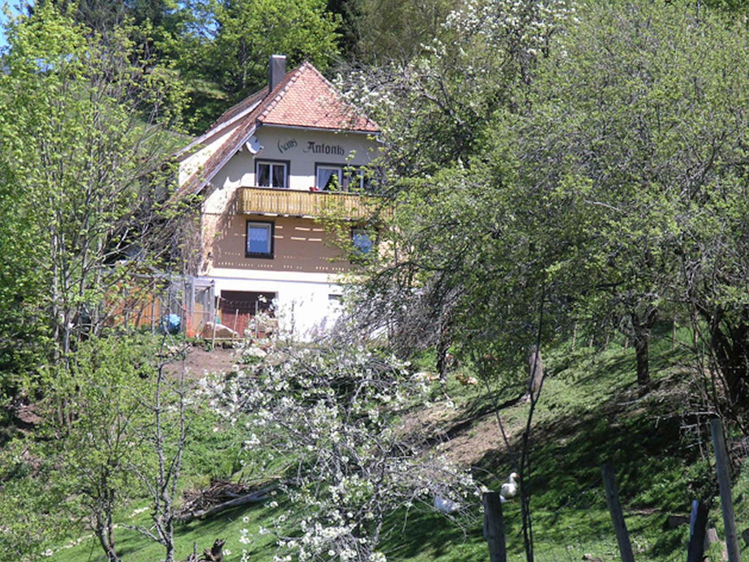 Photo 28
