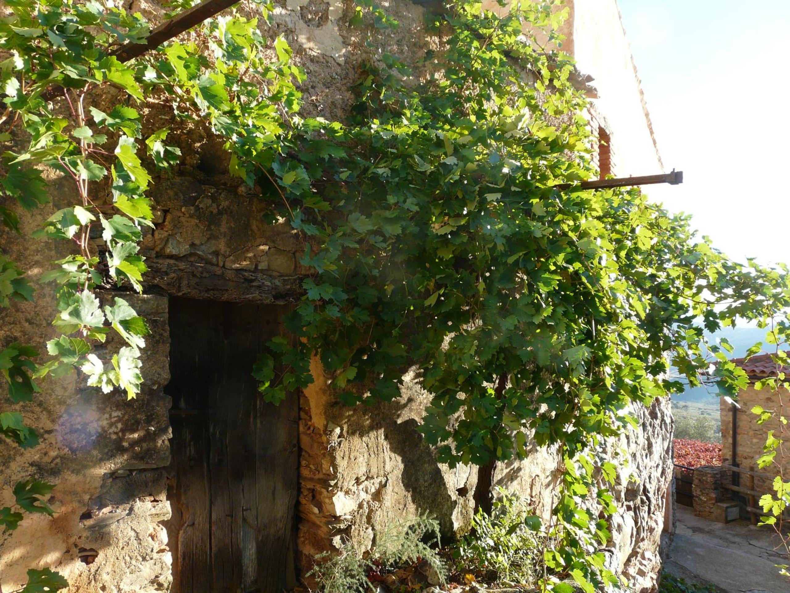 Photo 28