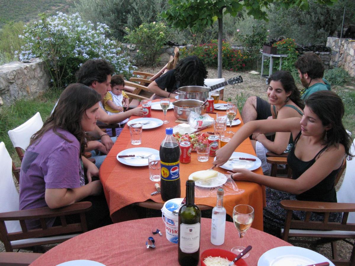 Photo 46
