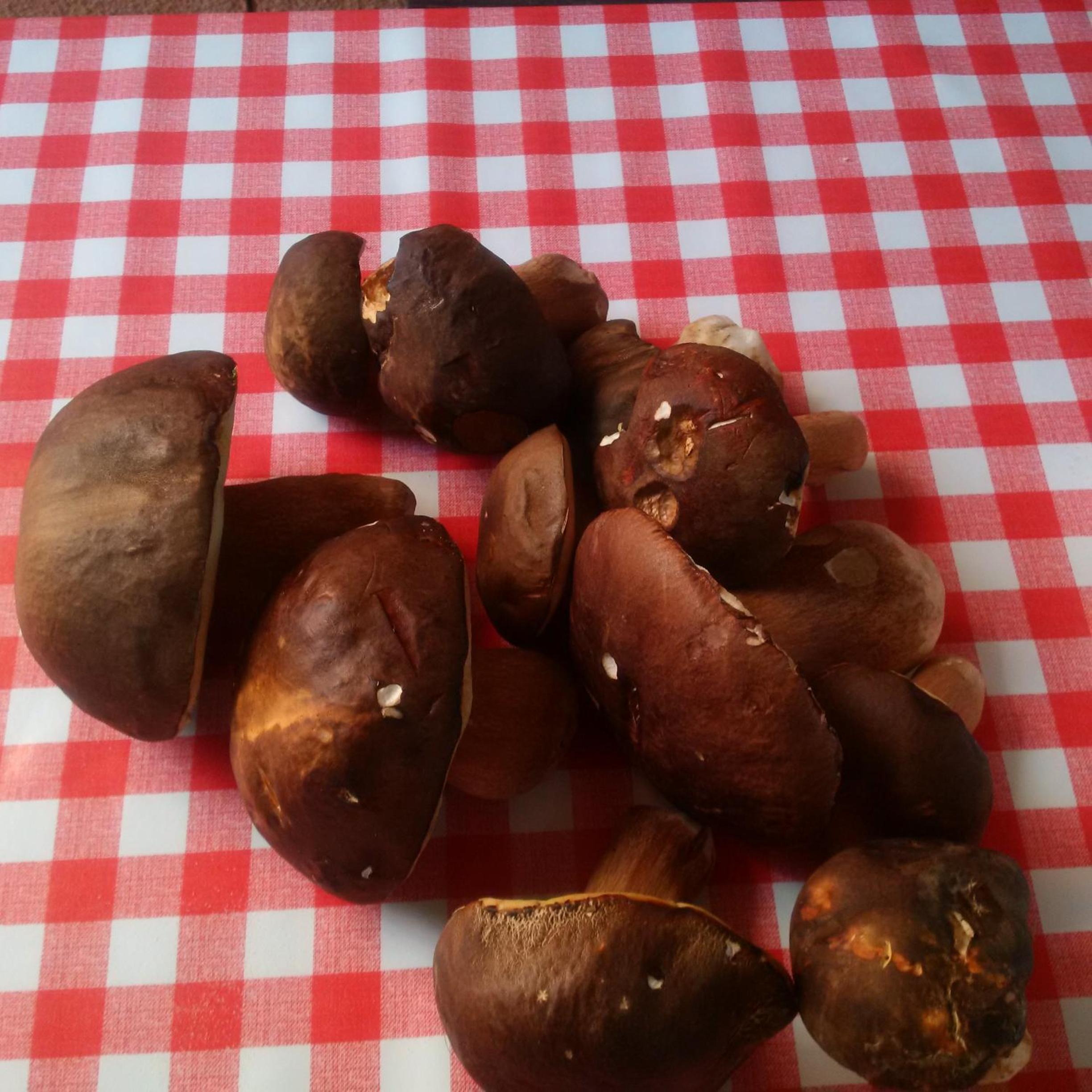 Osterija Na Planinci