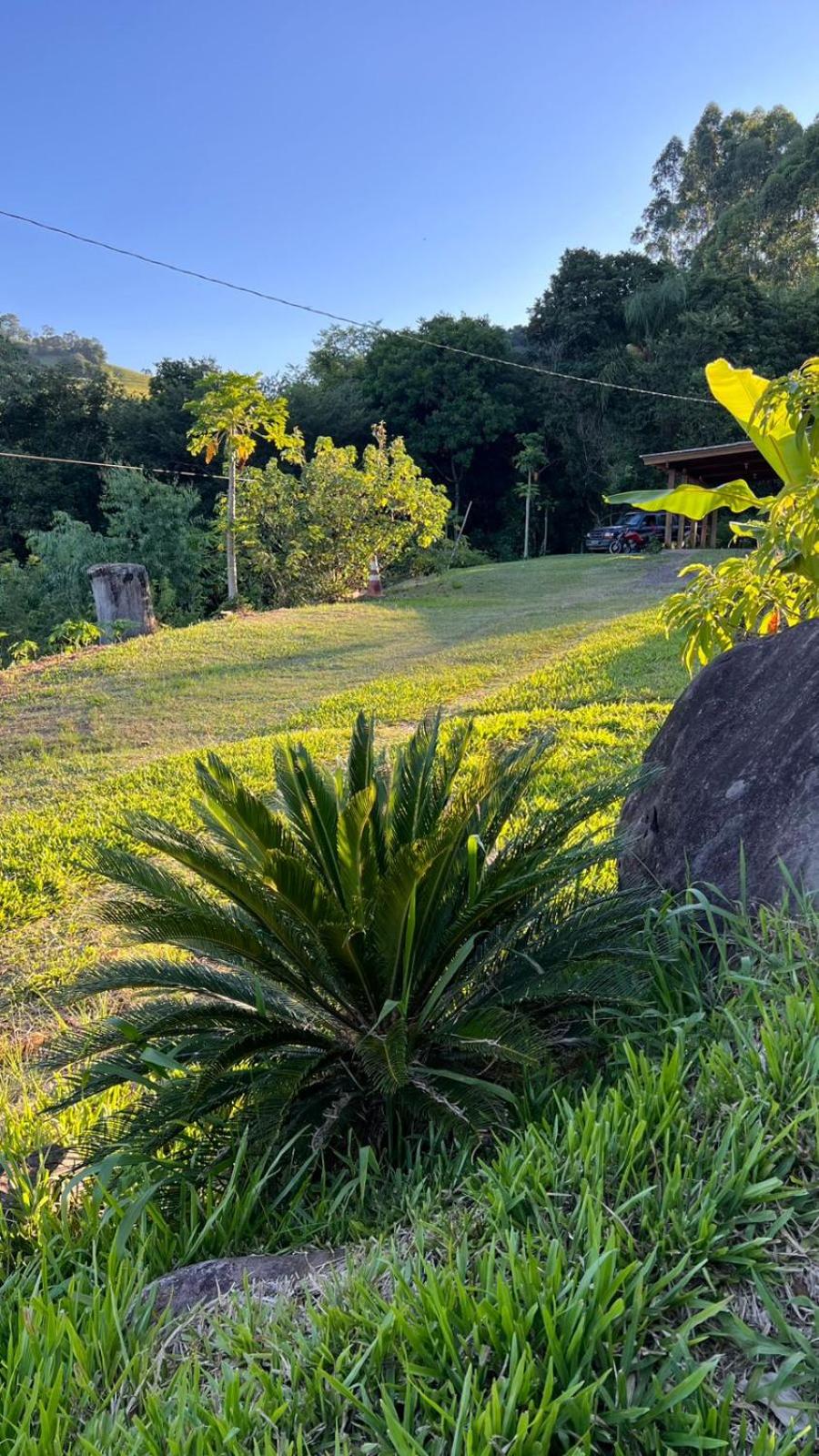 SíTIO DO LILI- uma experiência em meio à natureza