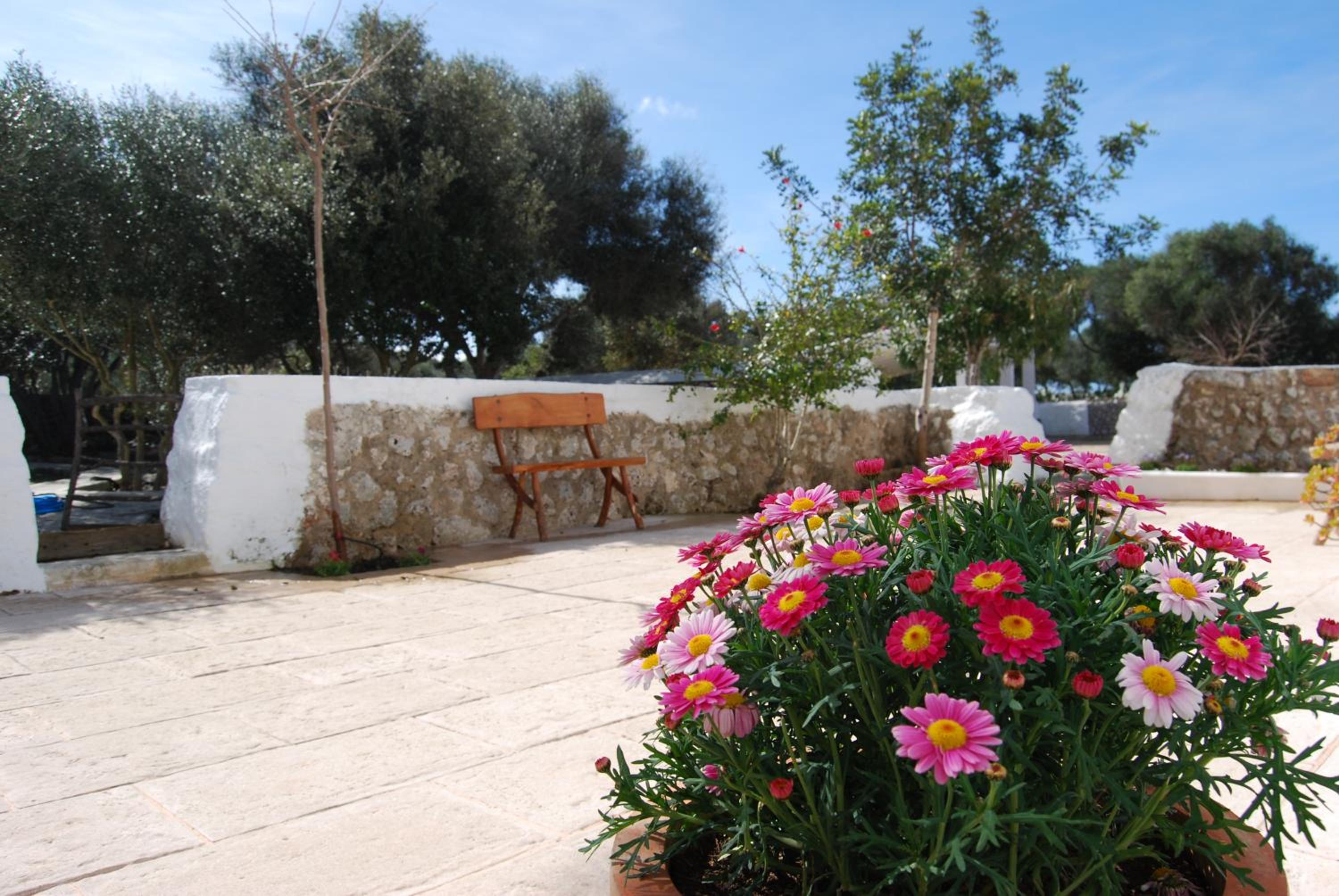 Turismo Rural Biniati des Pi