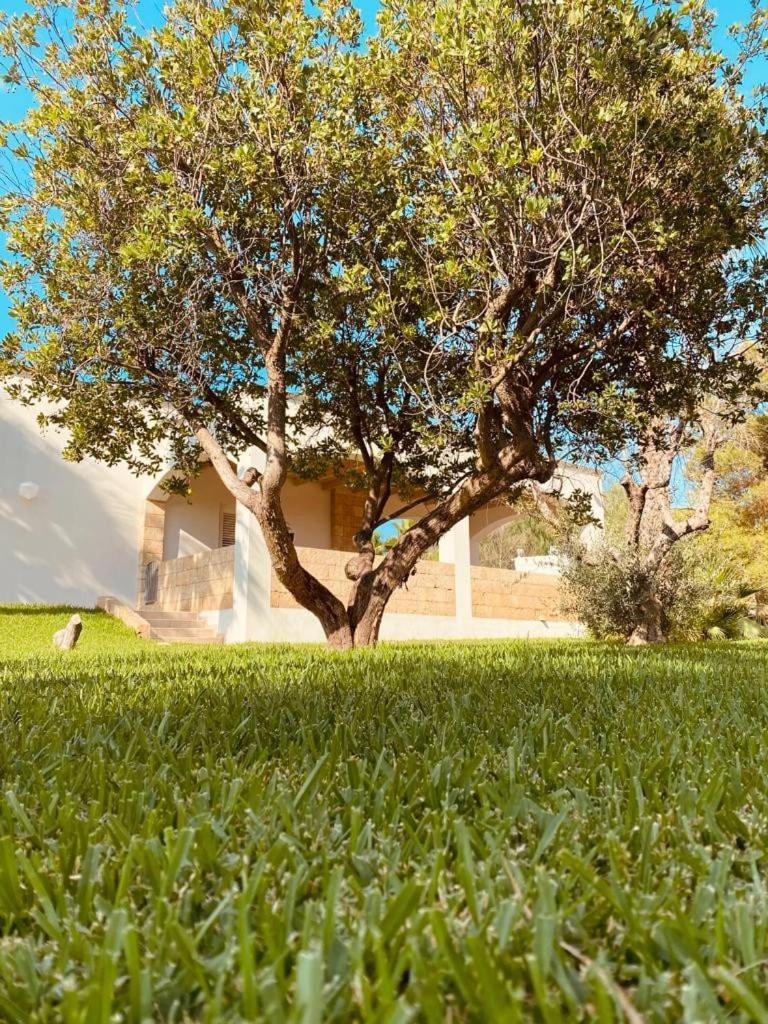 Appartamento Villa Nisapiro' Sannicola, photo 45