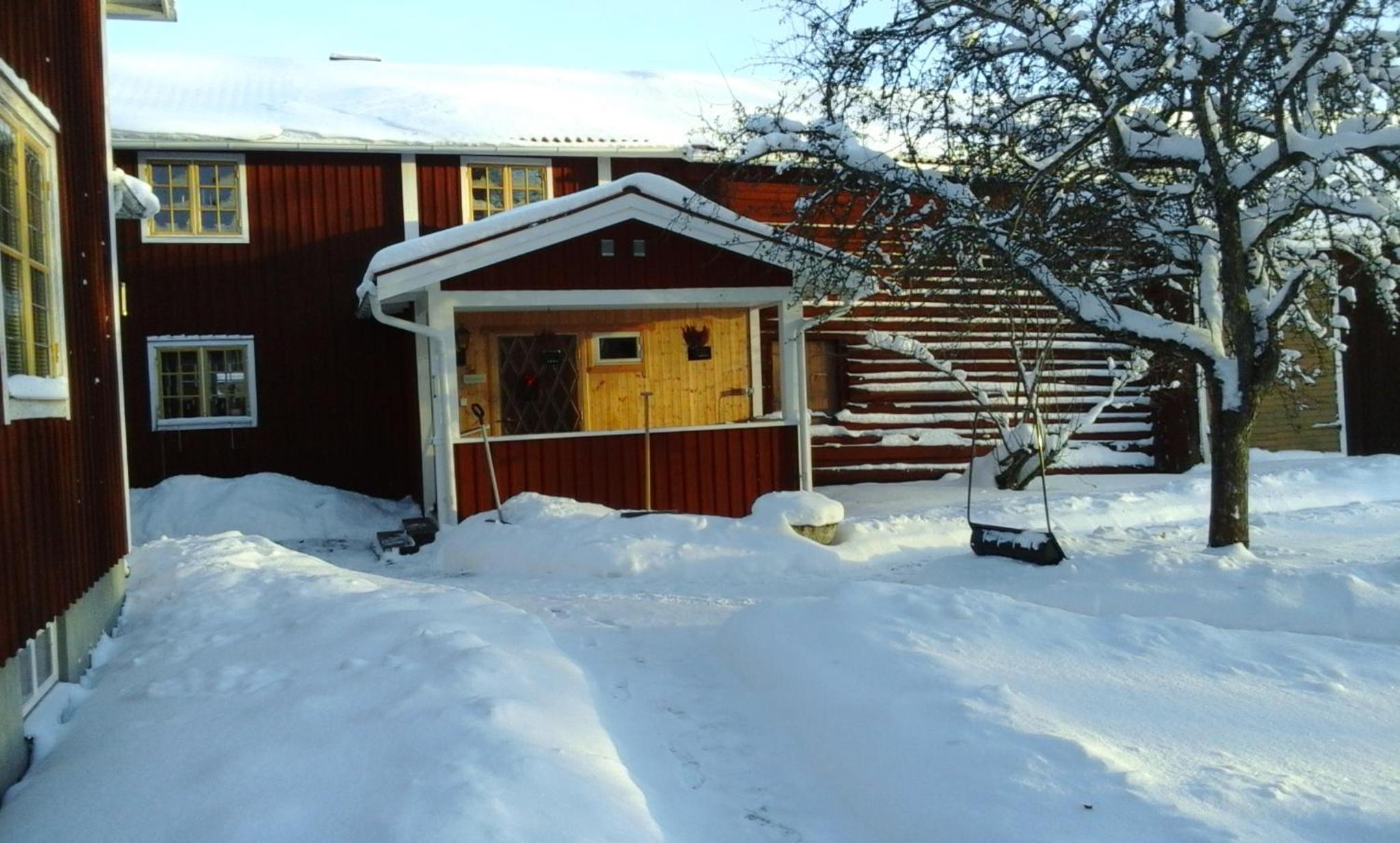Photo 9
