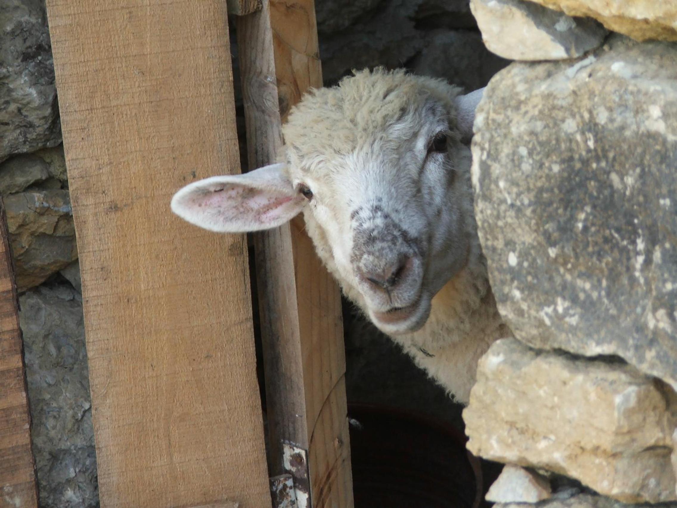 Aldeia da Mata Pequena