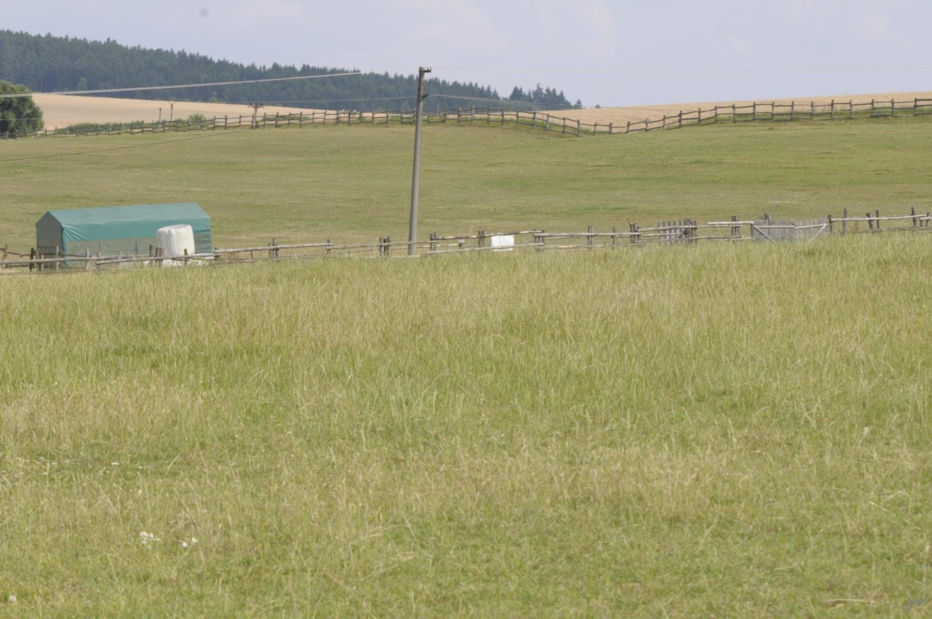 Ranch 79
