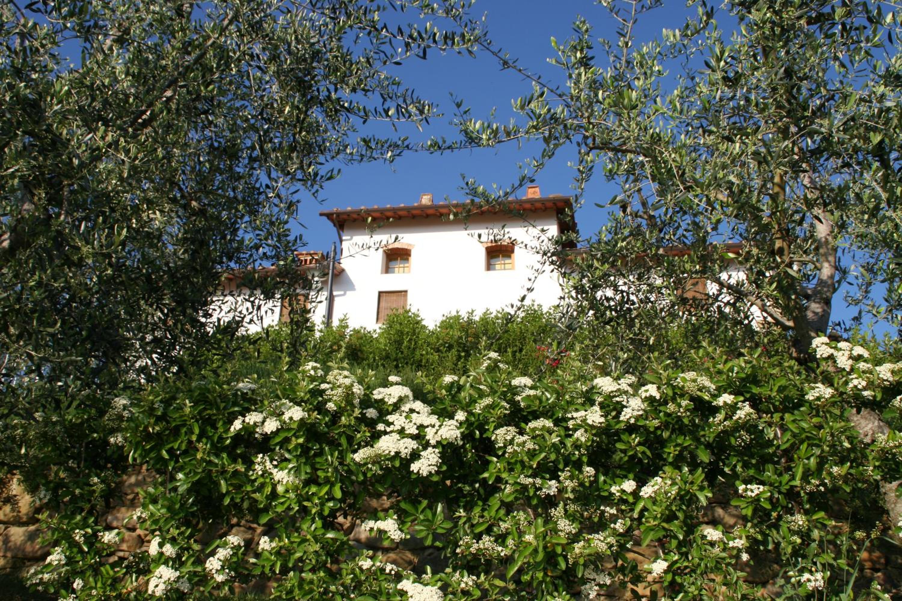 Agriturismo Cafaggio Primo