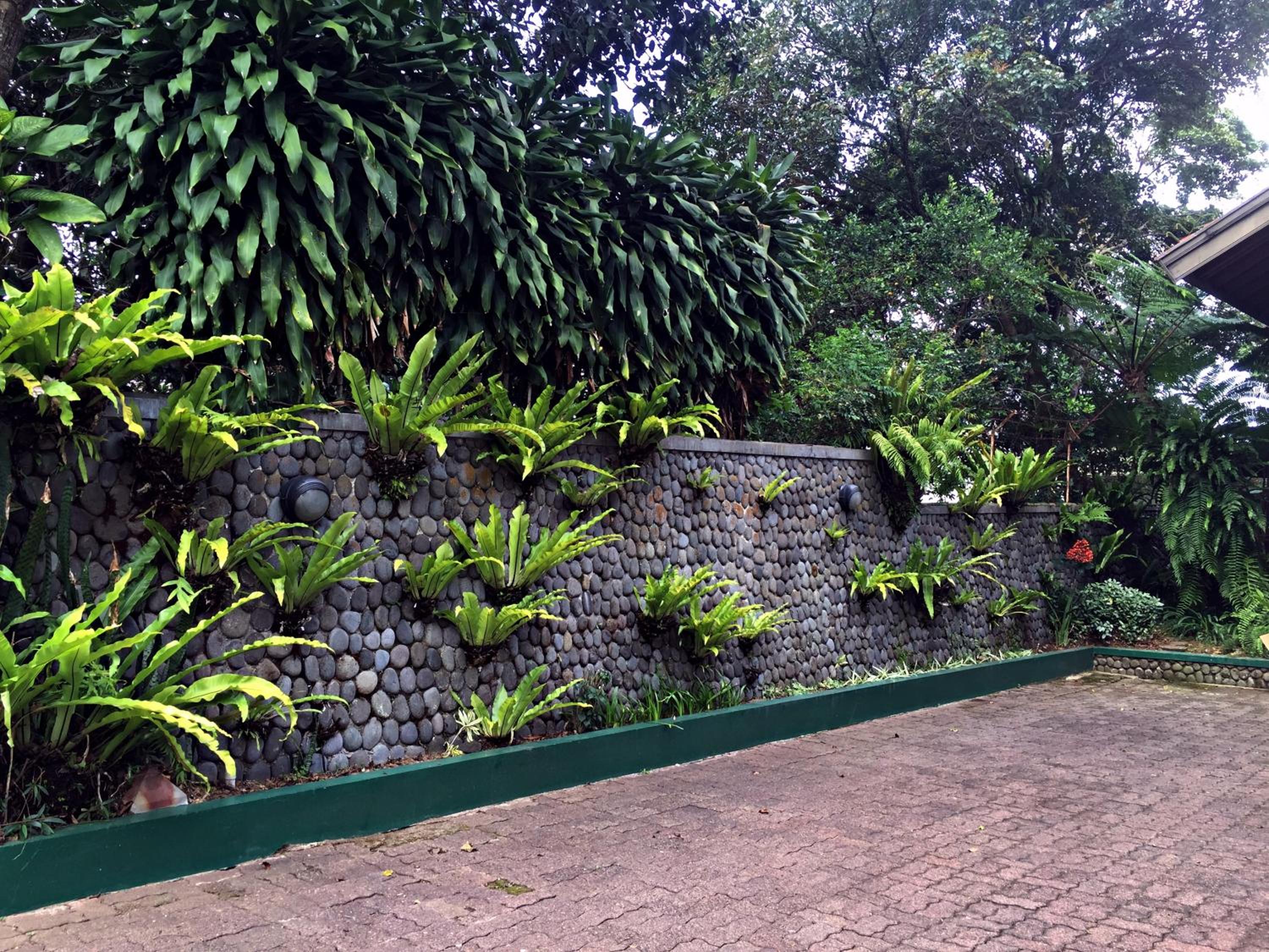 Holidayhome Alam Cipanas Puncak, Puncak - 11