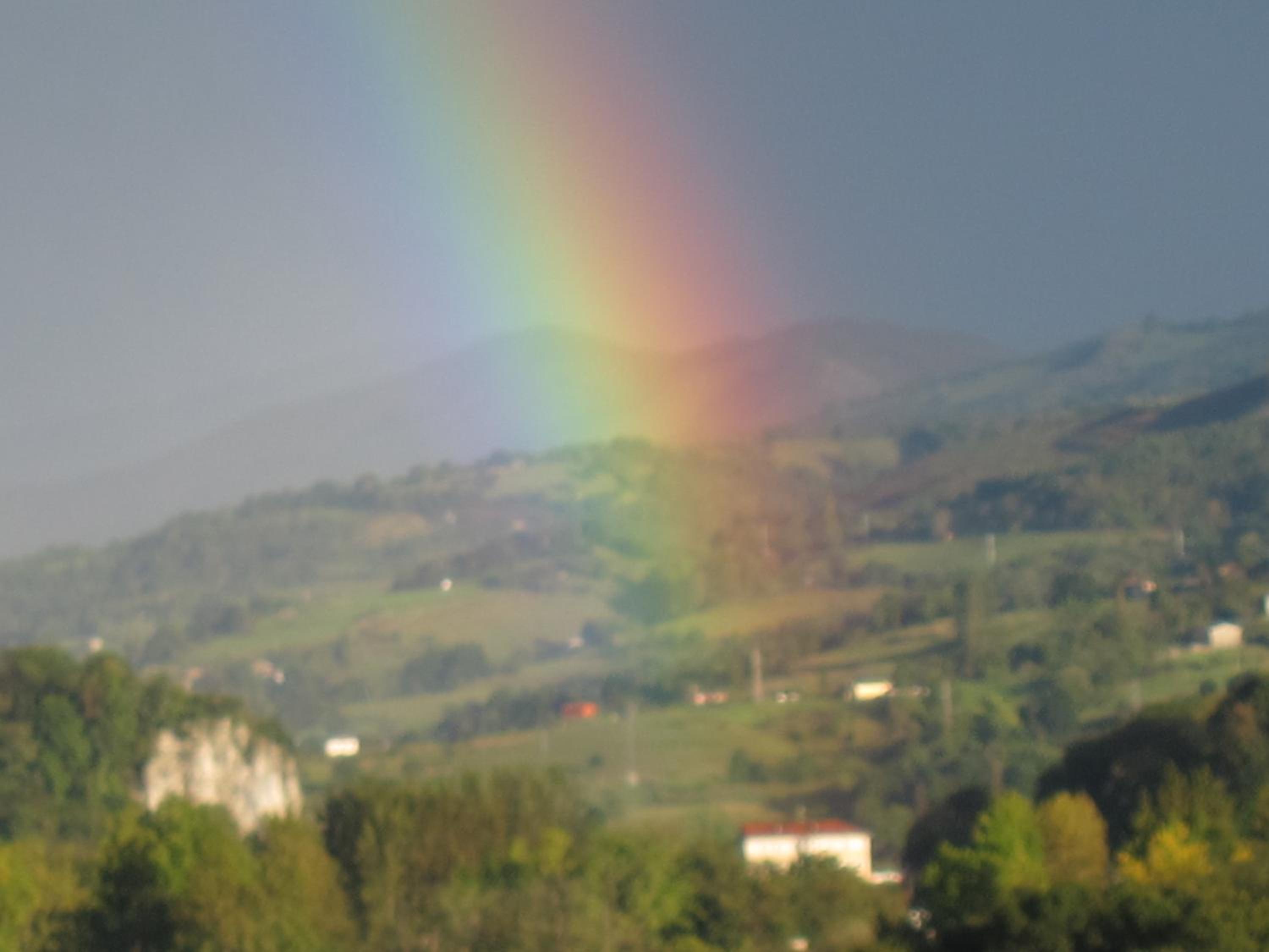 Photo 24