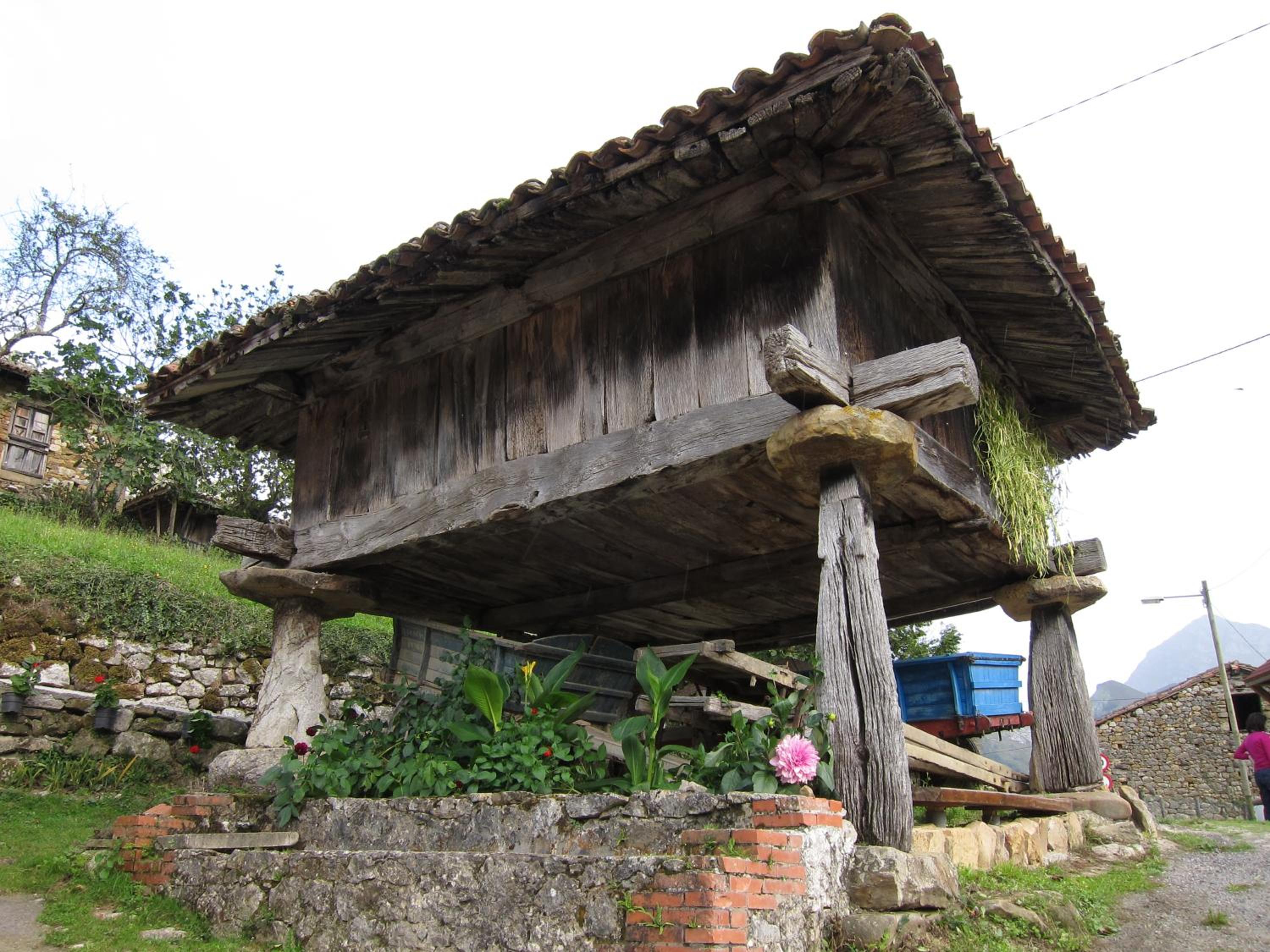 Photo 22