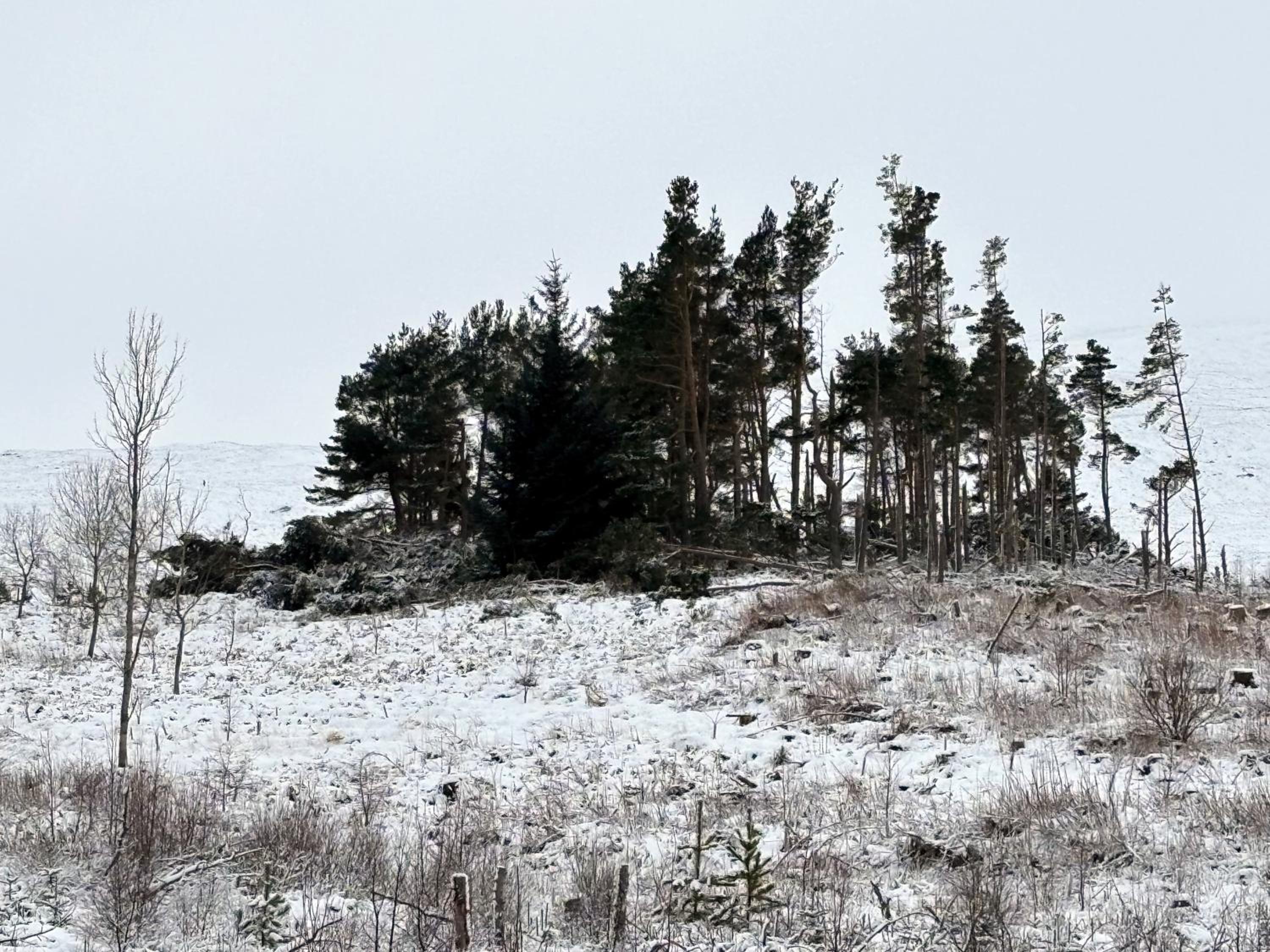 Kiln House, Keltneyburn