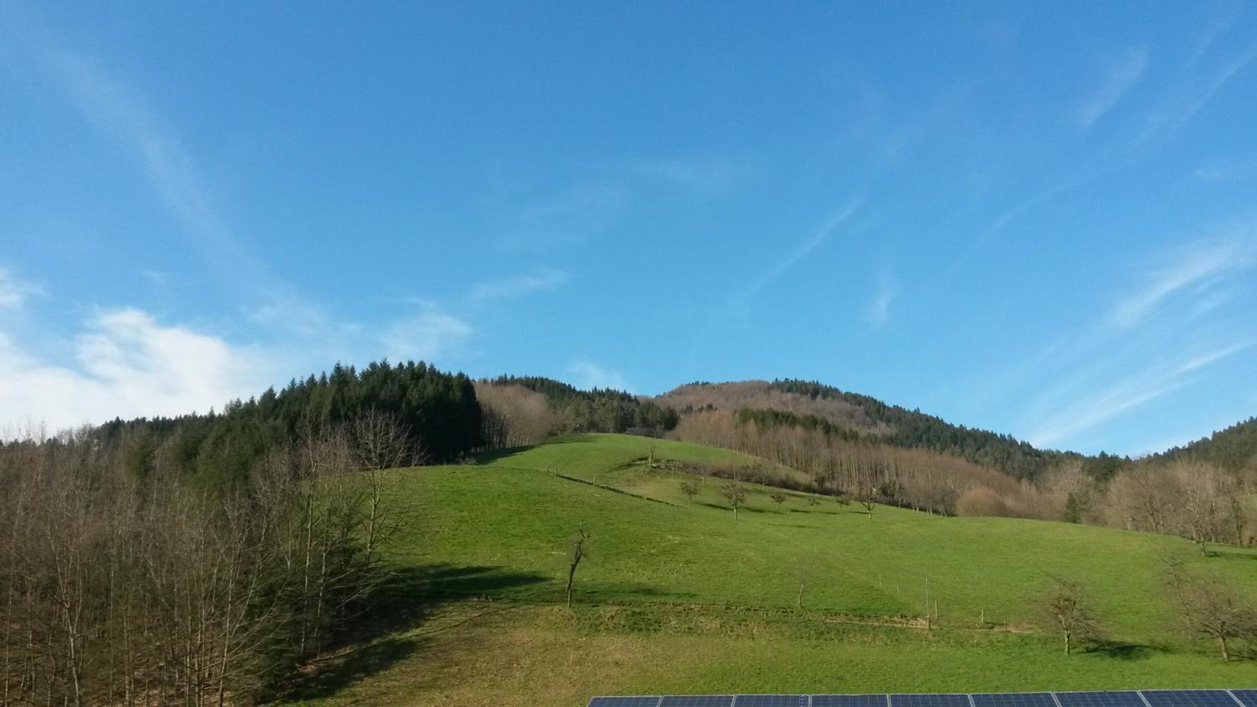 Rommelehof